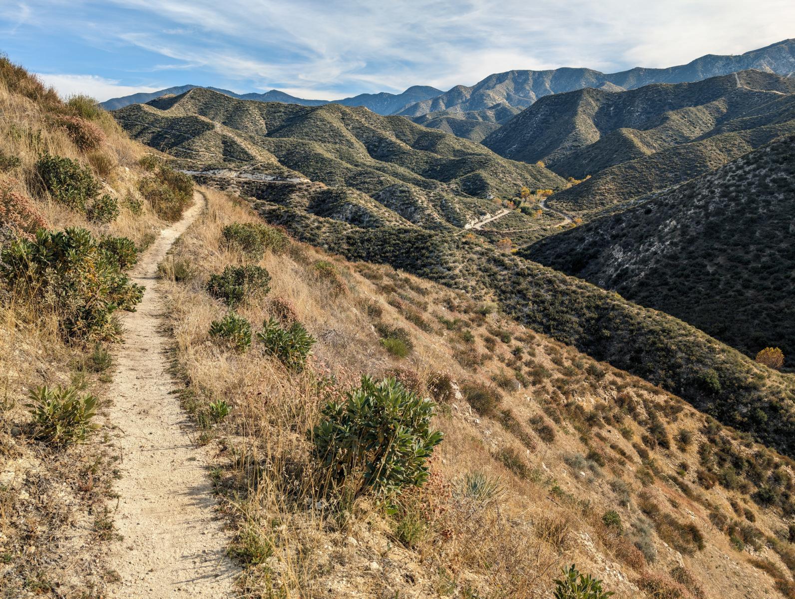 The Pacific Crest Trail approaching Indian Canyon in Angeles National Forest. Photo: Getty.