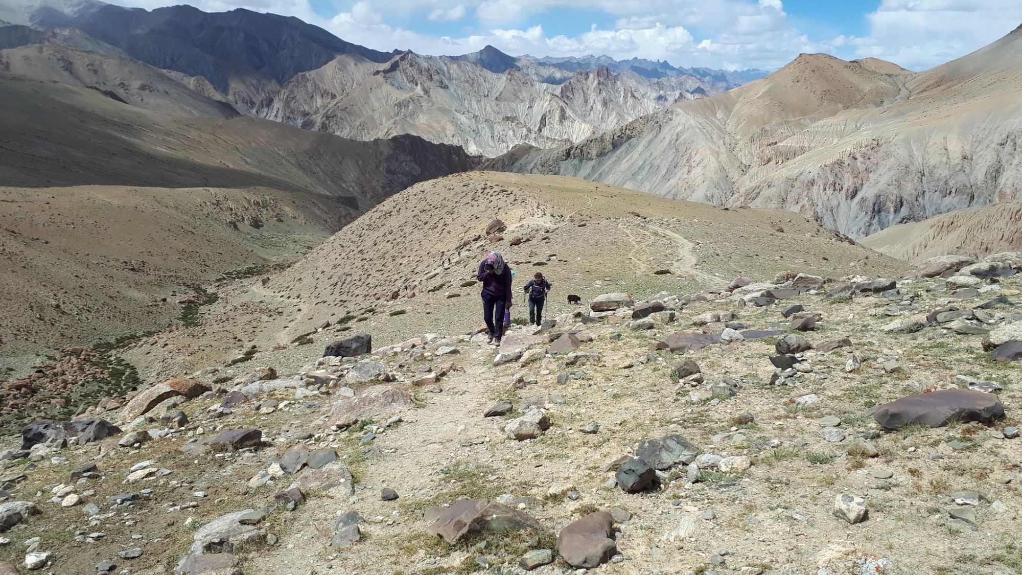 Hikers on the Markha Valley trek, Ladakh
