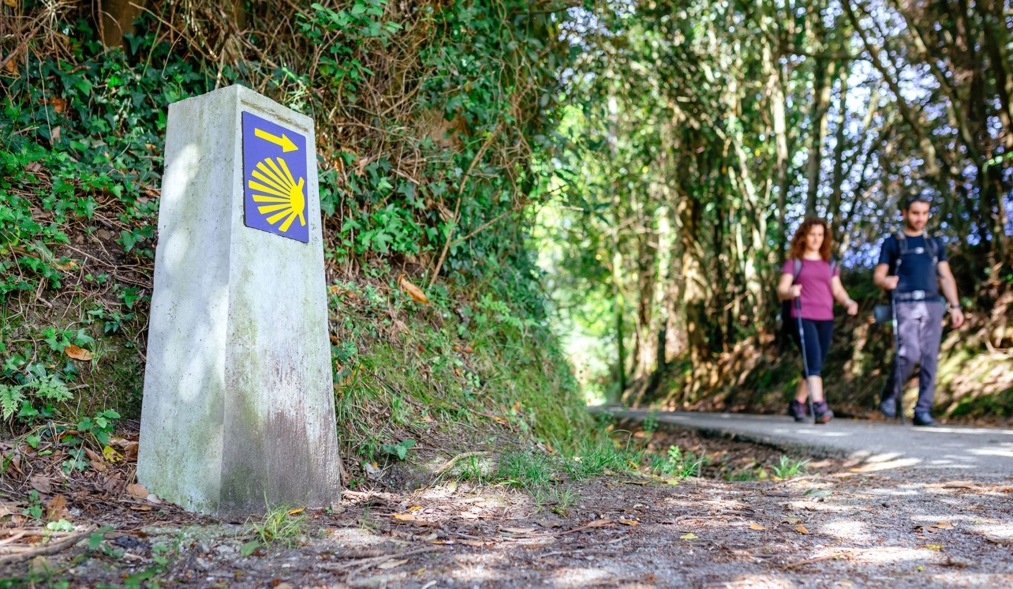 Hikers on the Camino. Photo: Getty.