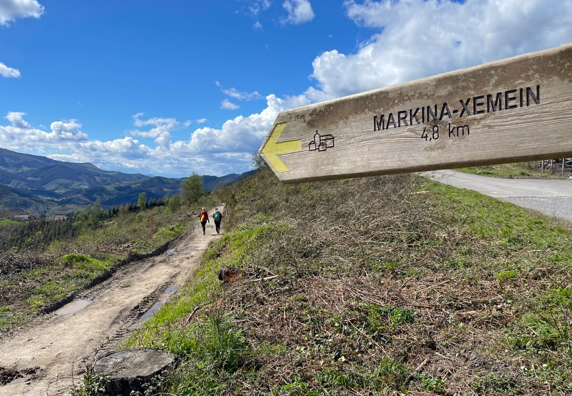 Hikers on the Camino del Norte. Photo: Getty.