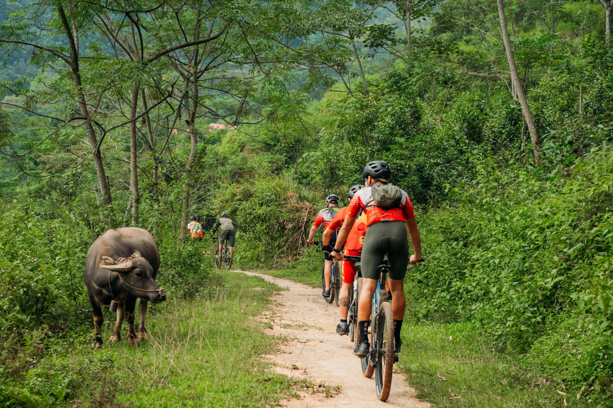 Cycling in Ha Giang, Vietnam.