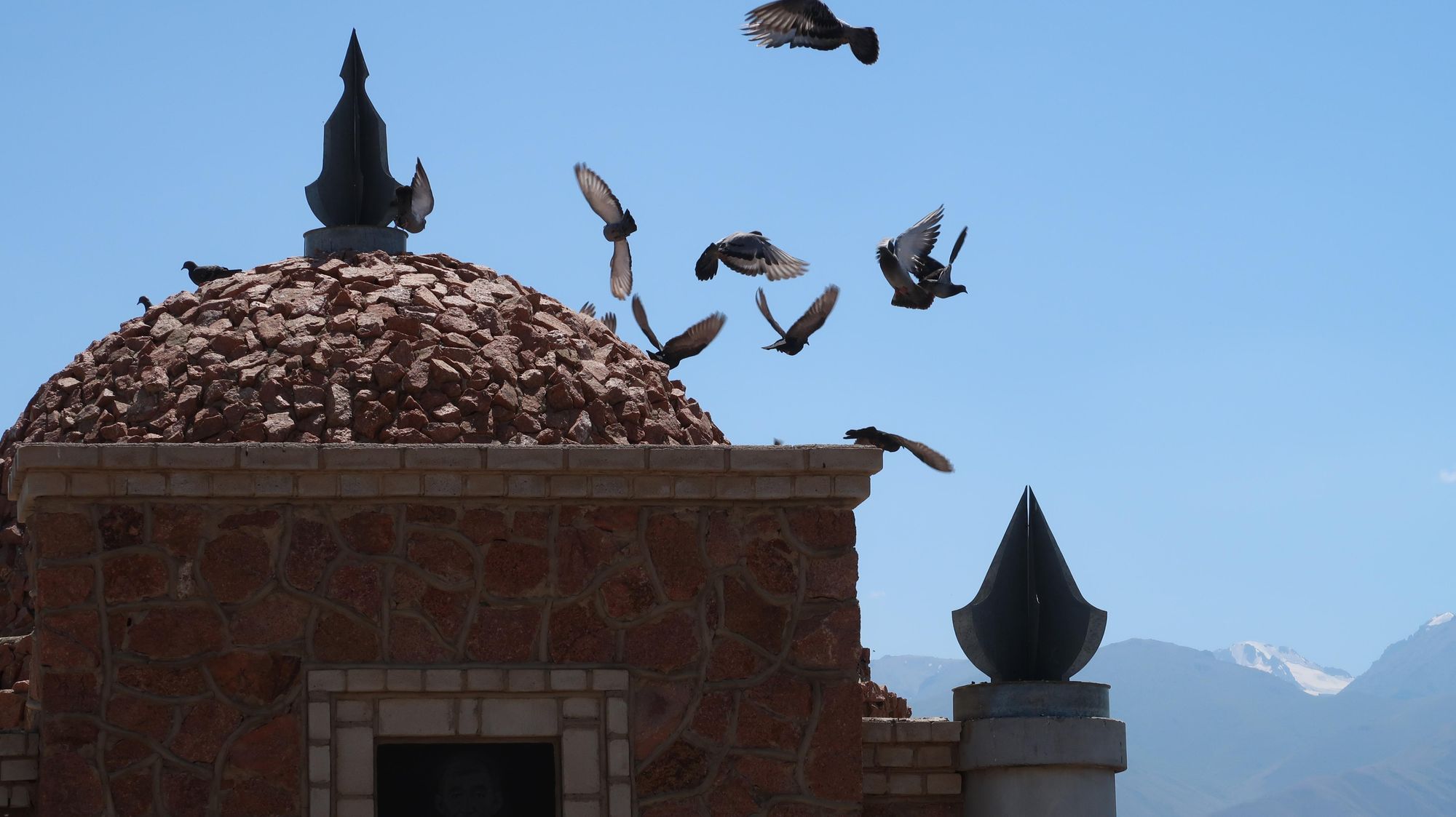 A mess of fluttering on the rooftops. Photo: Markus Stitz