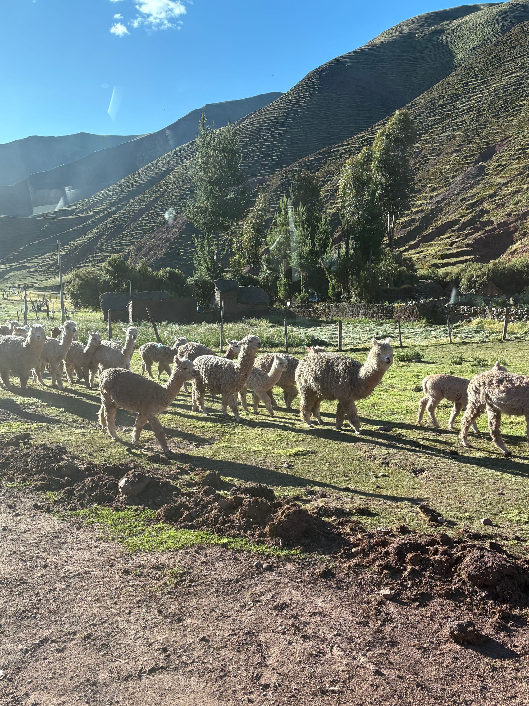 Snapshots from Peru: Adventure in the Sacred Valley