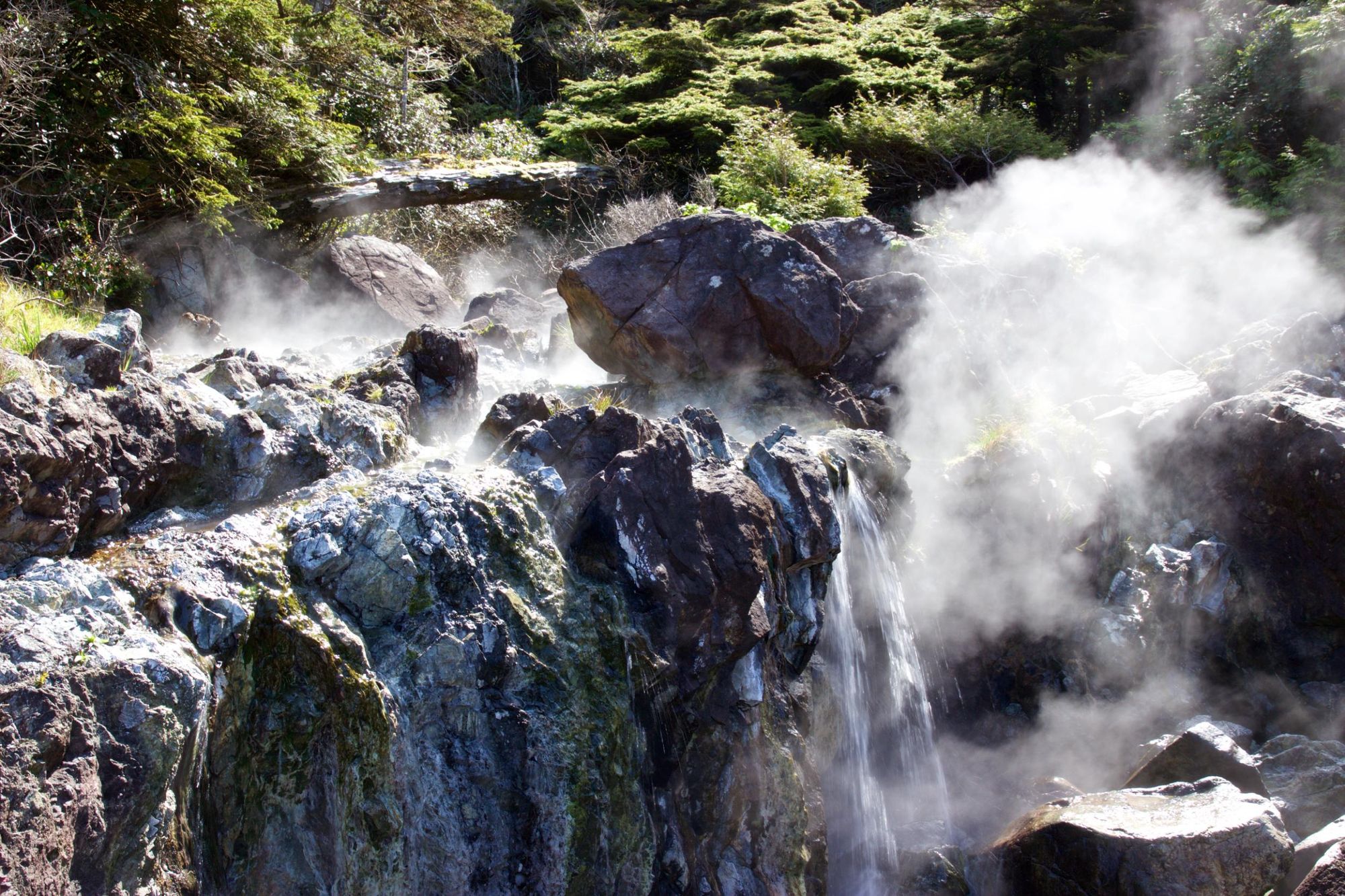 Hot Springs Cove, Tofino. Photo: Getty.