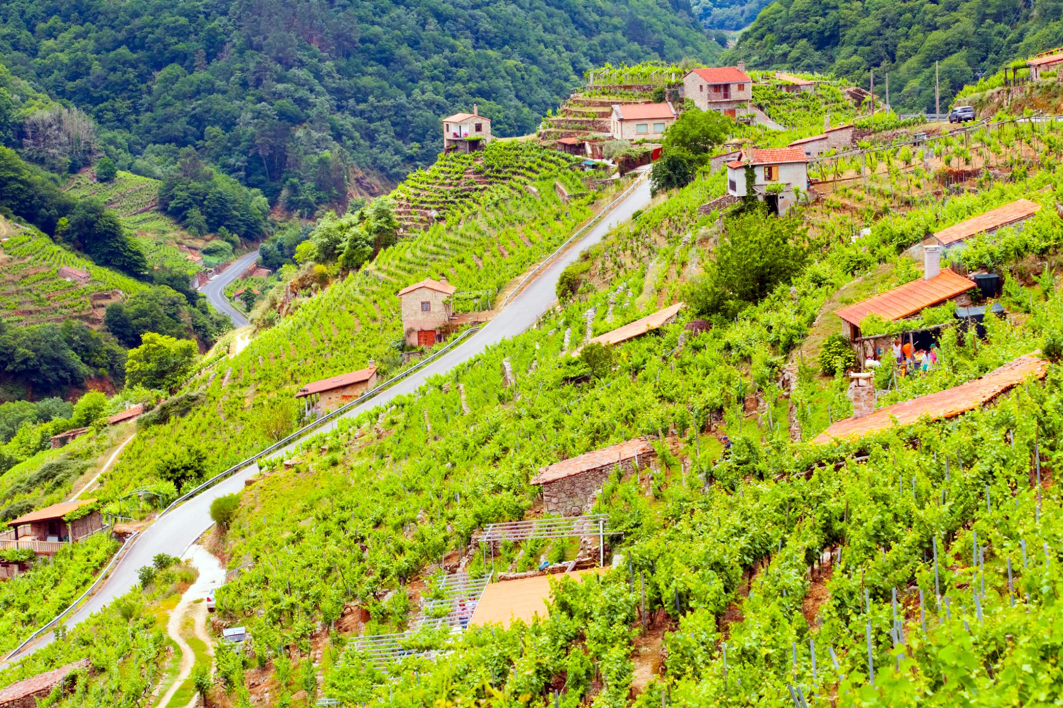 The hills of Ribeira Sacra, a wine making area in Galicia, Spain, on the banks of river Miño. Photo: Getty