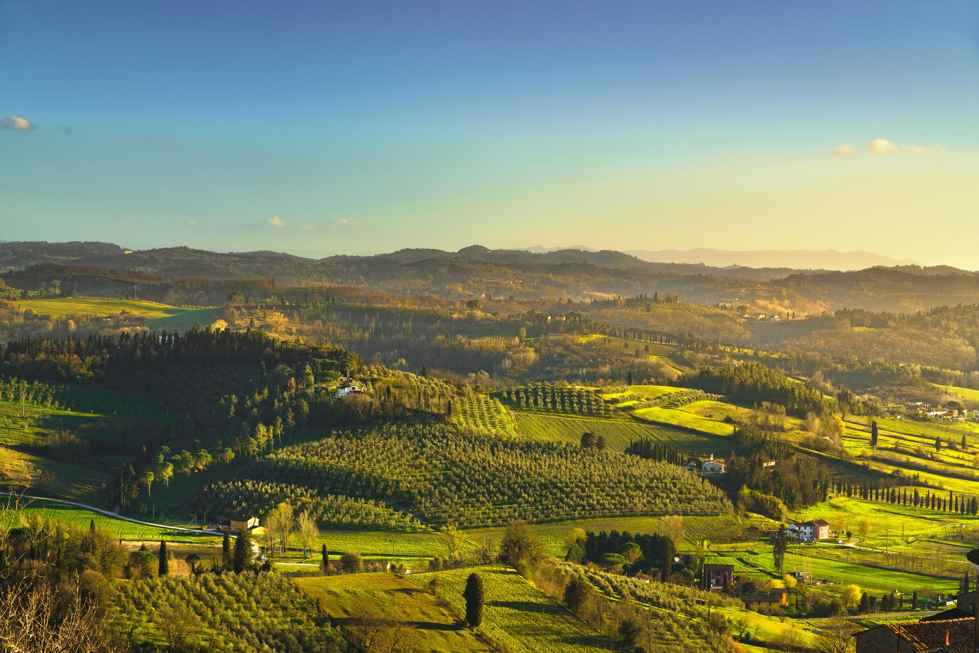 The countryside around San Miniato. Photo: Getty.