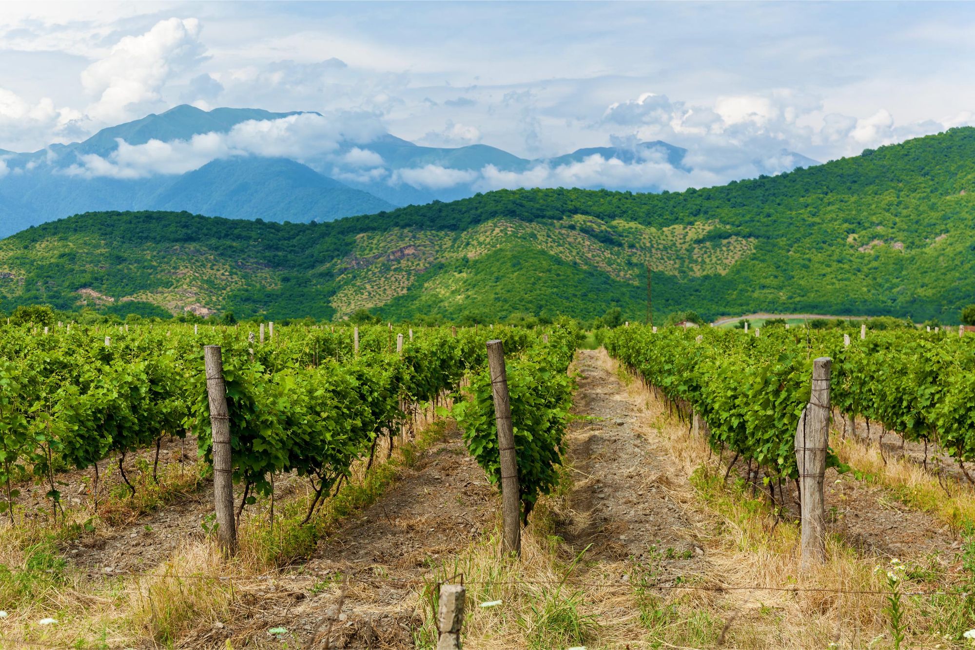 The Georgian Vineyard Where You Can Sleep in a Giant Wine Jug