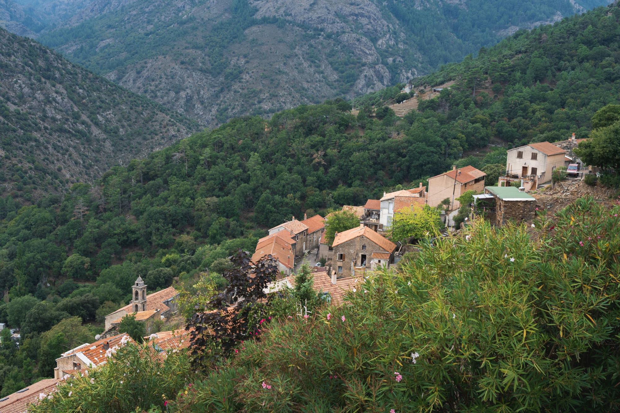 Asco, a village in Corsica. Photo: Getty.