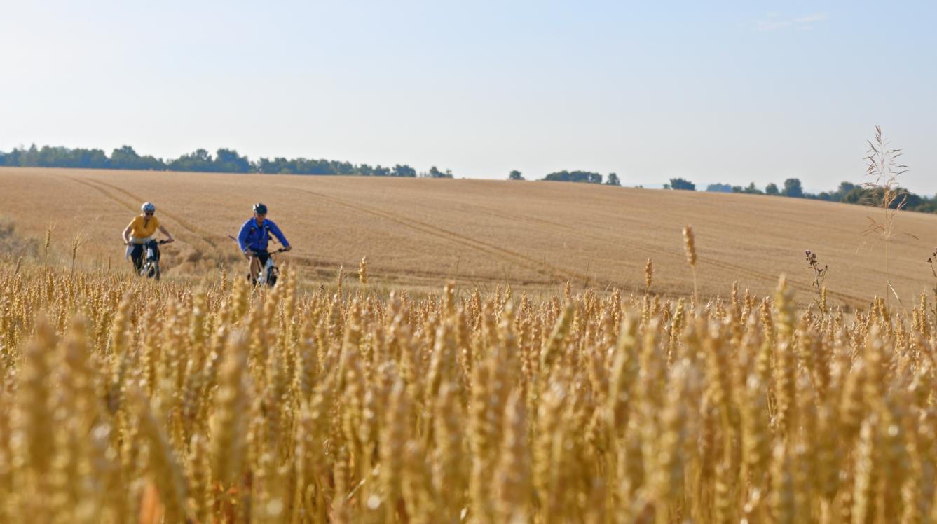 The Royal Chilterns Way: A 284km Cycling Route Through Southeast England