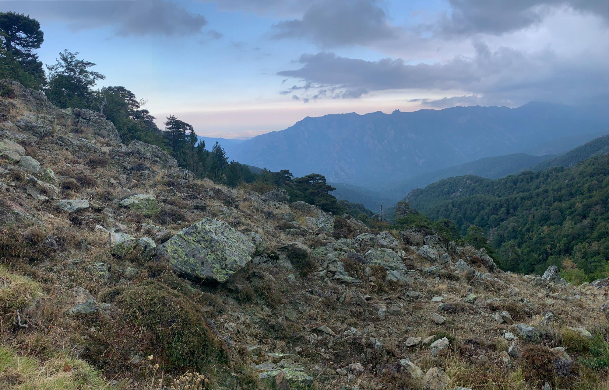 Capanelle area, on Corsica's GR20.