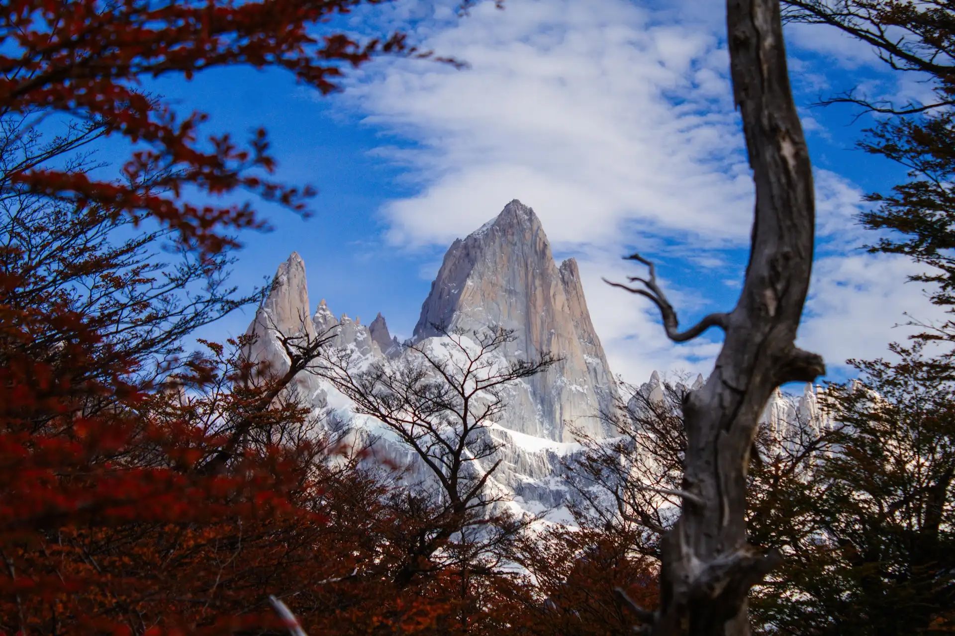 Mount Fitz Roy. Photo: Say Hueque.