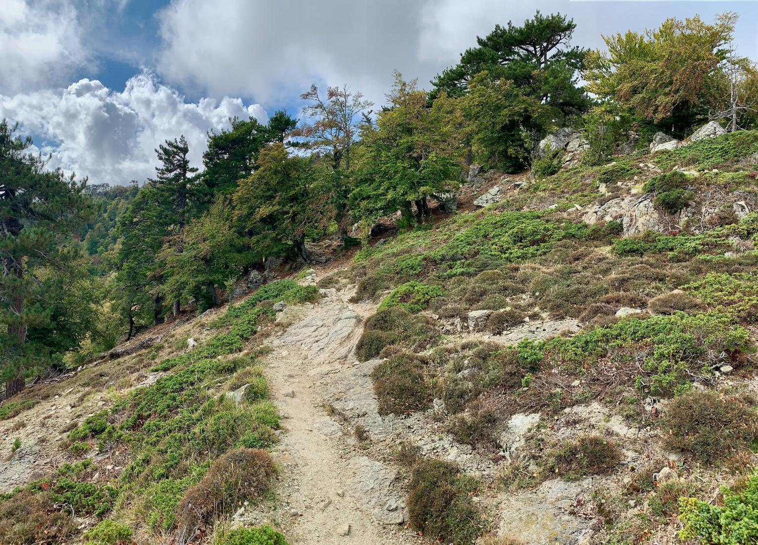 The GR20 South between Vizzavona and Capanelle. Photo: Getty.
