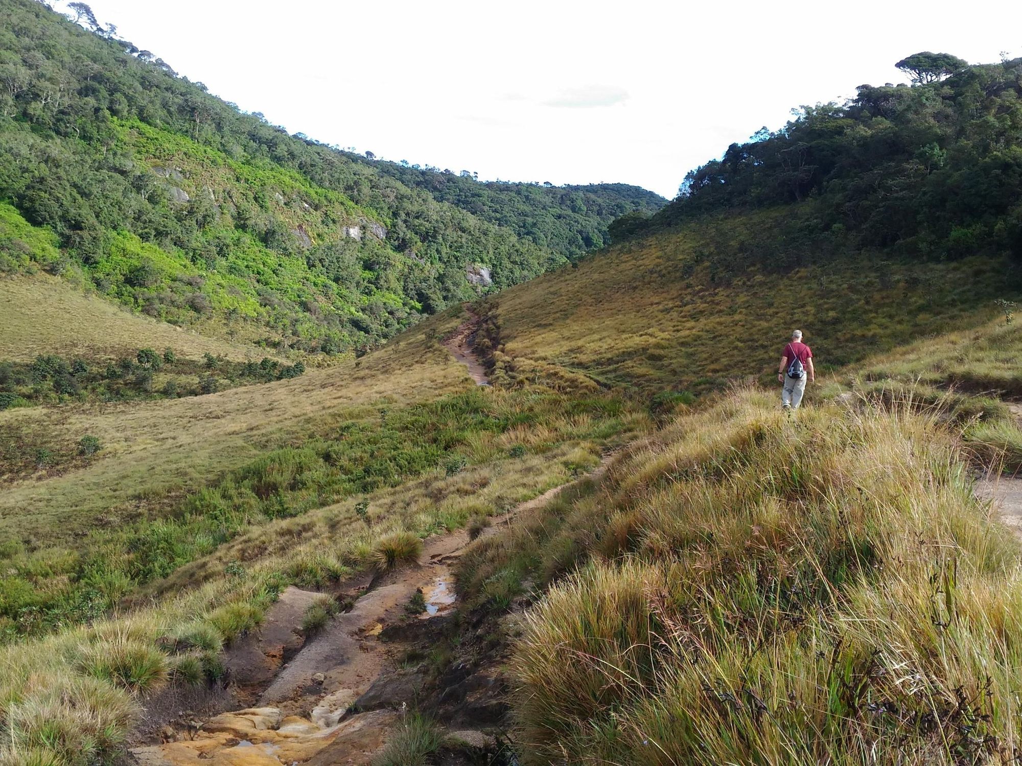Hiking in Sri Lanka's Horton Plains National Park. Photo: Best of Lanka.