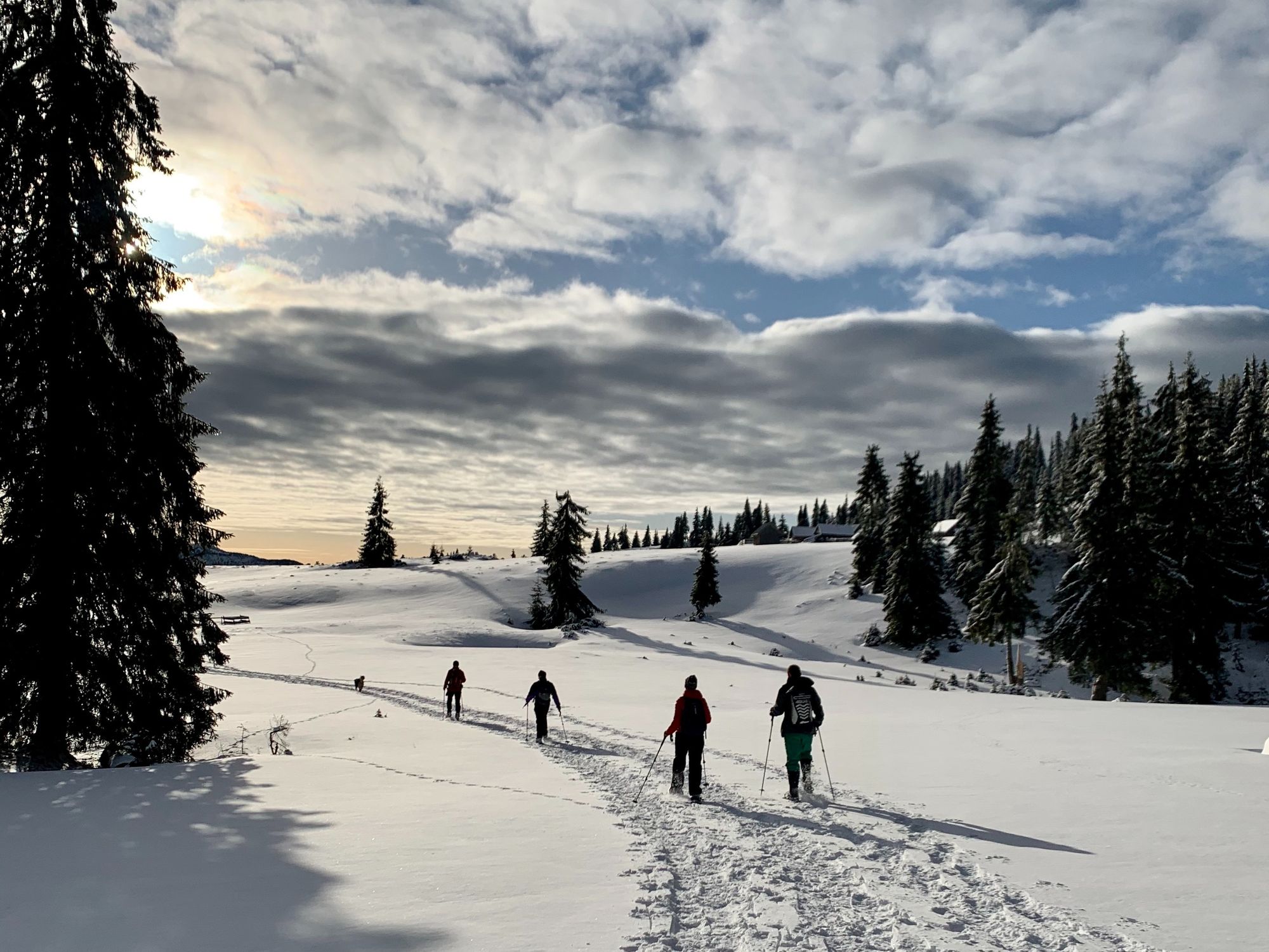 Winter hiking in the Carpathian Mountains of Romania. Photo: Jasmine Baird.
