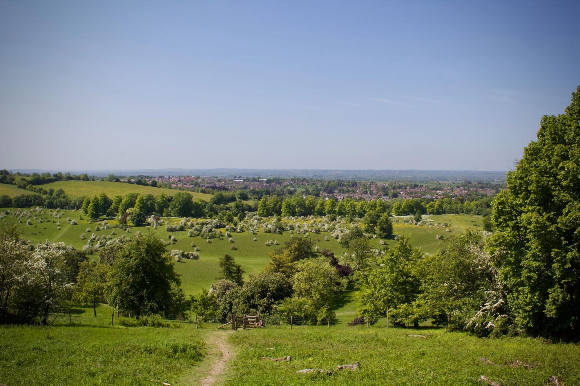 The rolling green hills of the Chilterns. Photo: Wild Cycles