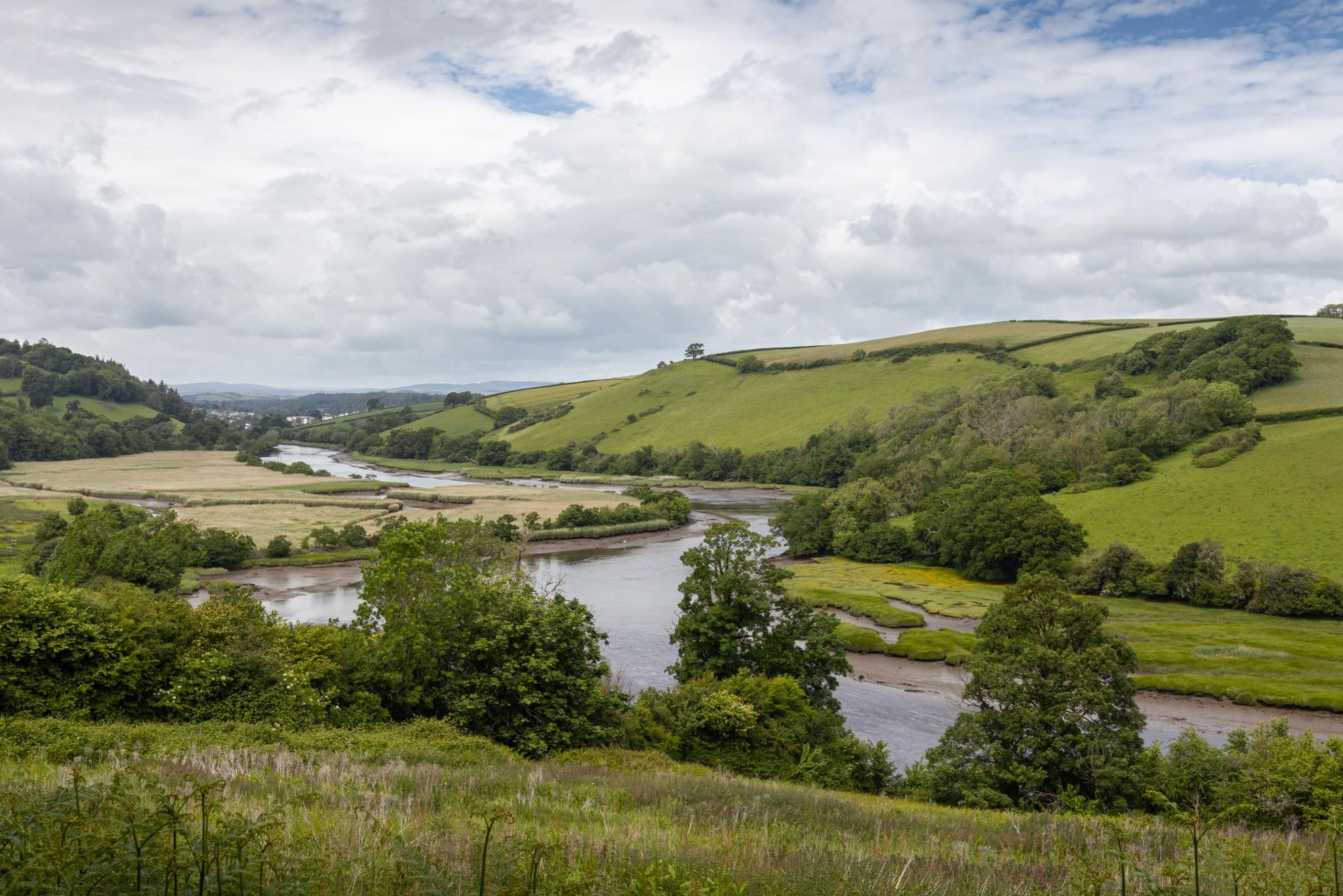 The River Dart and Totnes, seen from the Sharpham Estate. Photo: Getty.