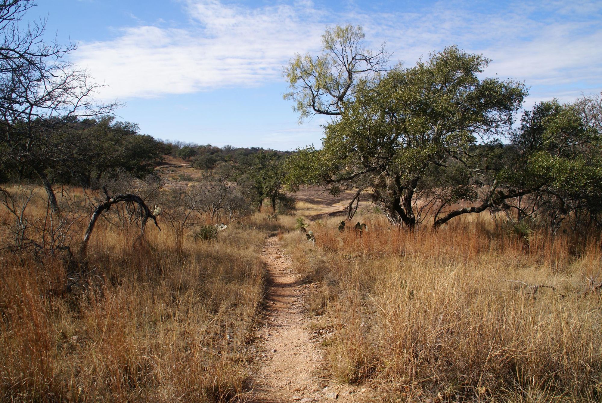The Enchanted Rock area in Texas, pictured in December. Photo: Getty