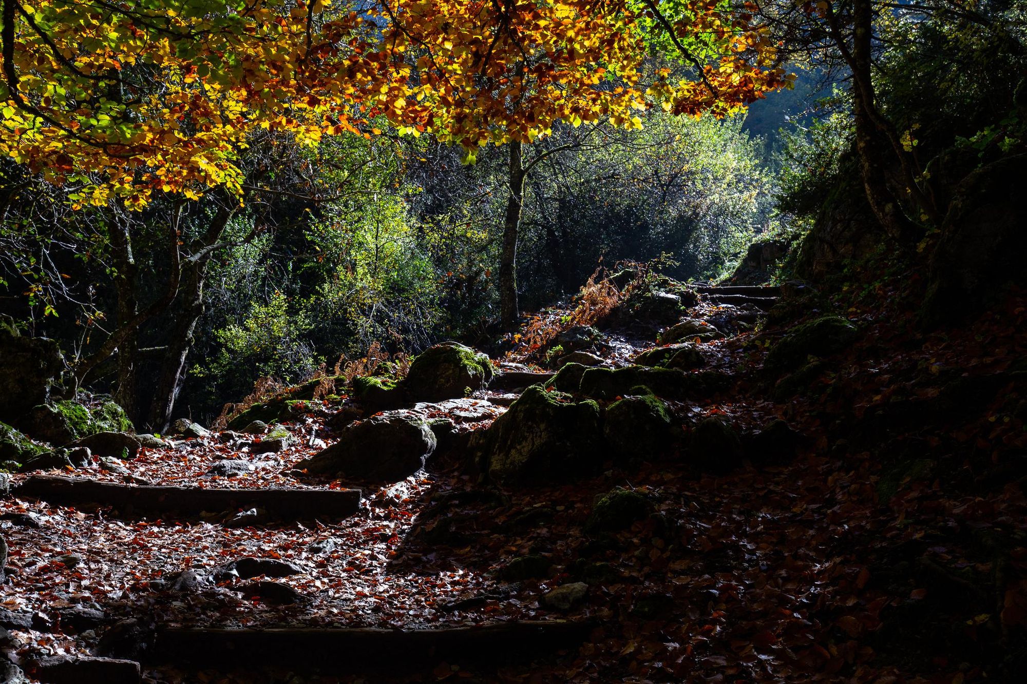 The E4 hiking route, leading to the higher reaches of Mount Olympus. Photo: Getty