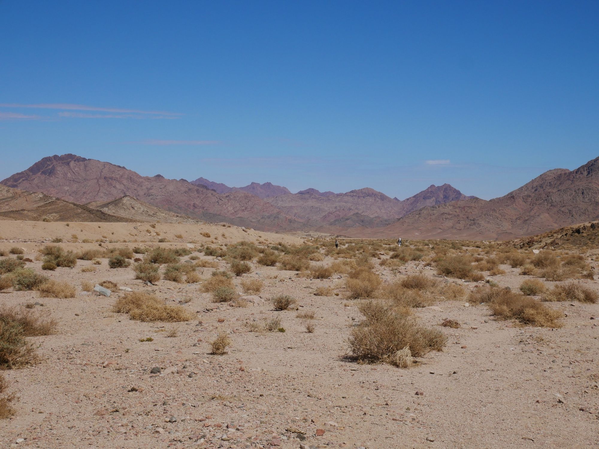 Two hikers among desert scrub, with the mountains of Sinai in the background.