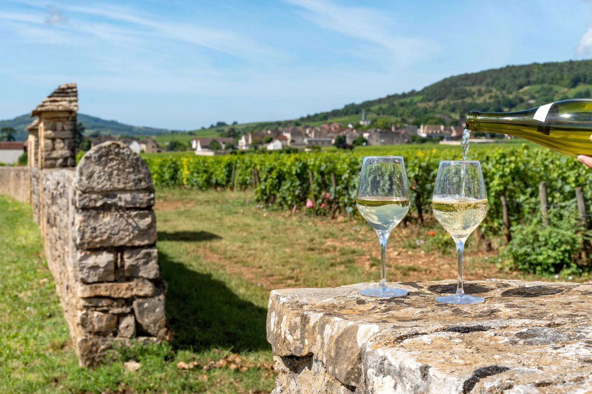 Tasting a Burgundy Chardonnay. Photo: Shutterstock.