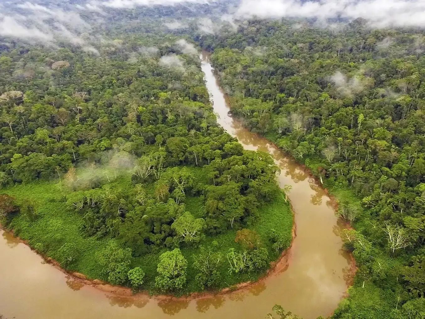 The Shiripuno River in the Ecuadorian Amazon. Photo: Cami Adventures.