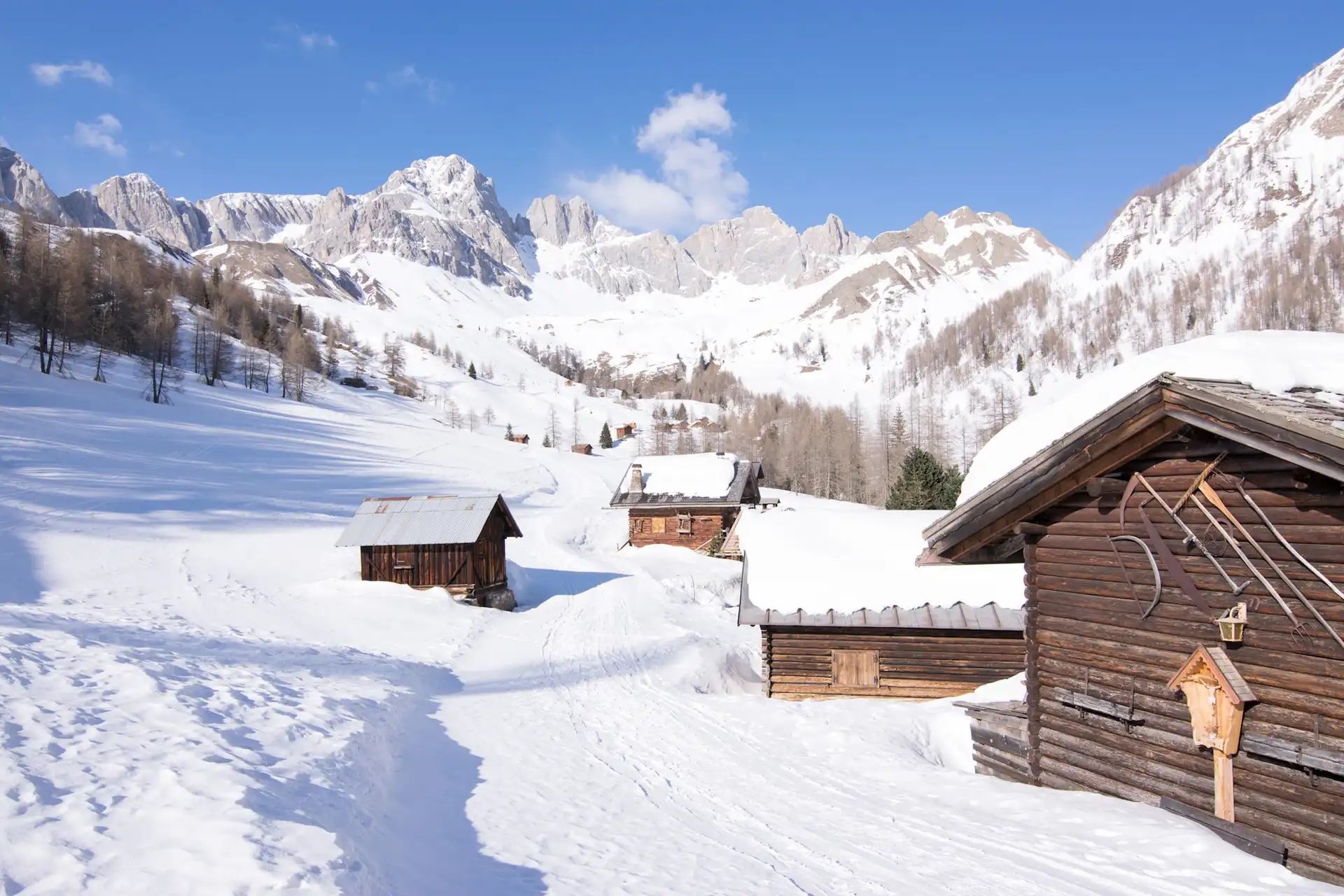 Alpine pastures on the way to Forcella Forca Rossa. Photo: Shutterstock.
