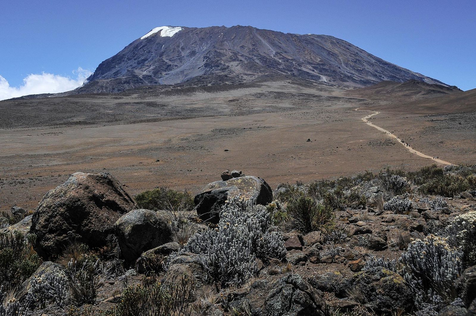Kilimanjaro summit from the Marangu Route