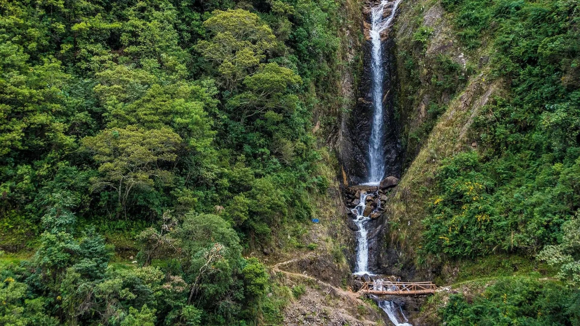 The Salkantay Trek through cloud forest. Photo: iStock.