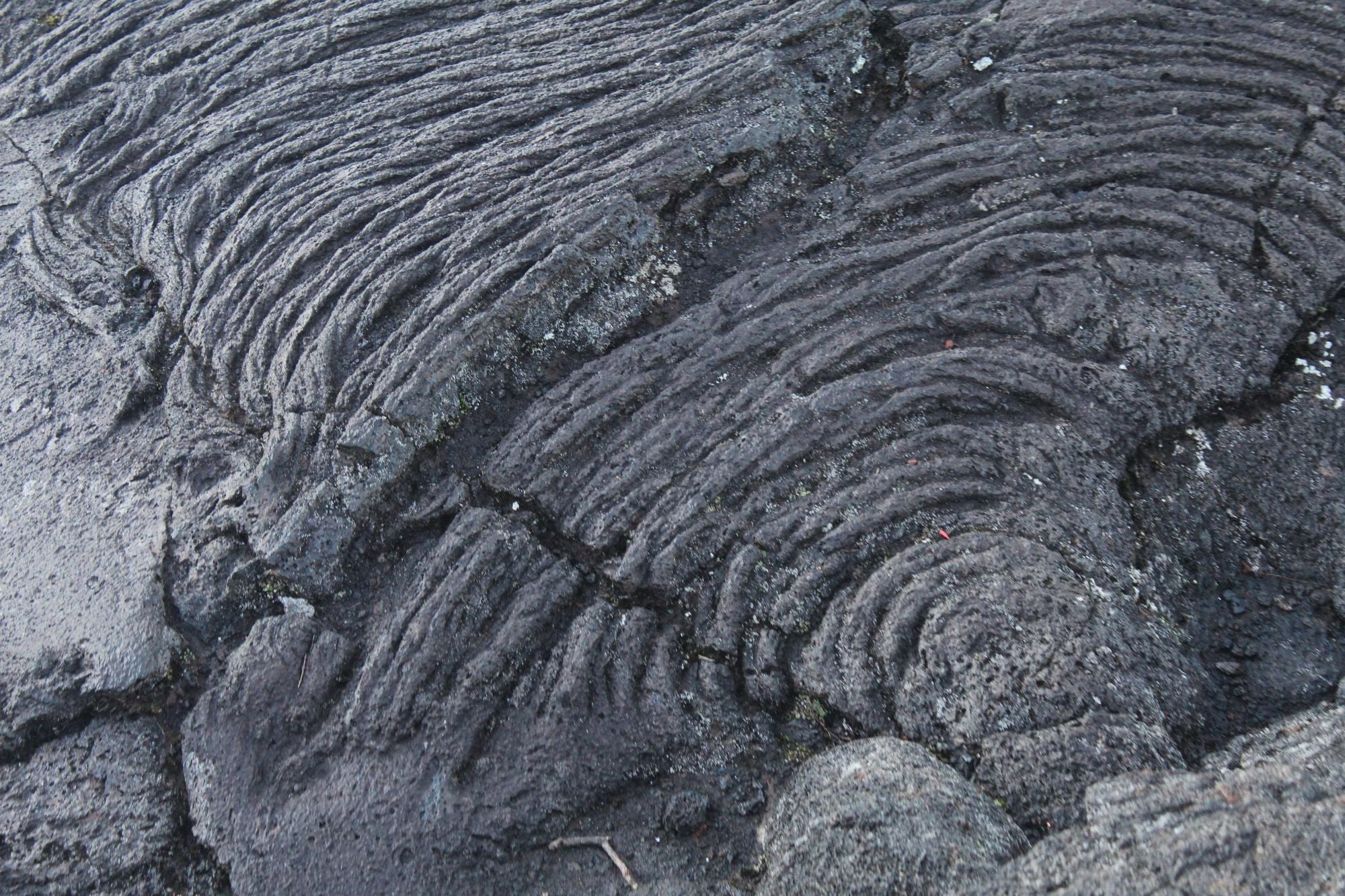 Dried rope lava, on the slopes of Piton de la Fournaise. Photo: Stuart Kenny