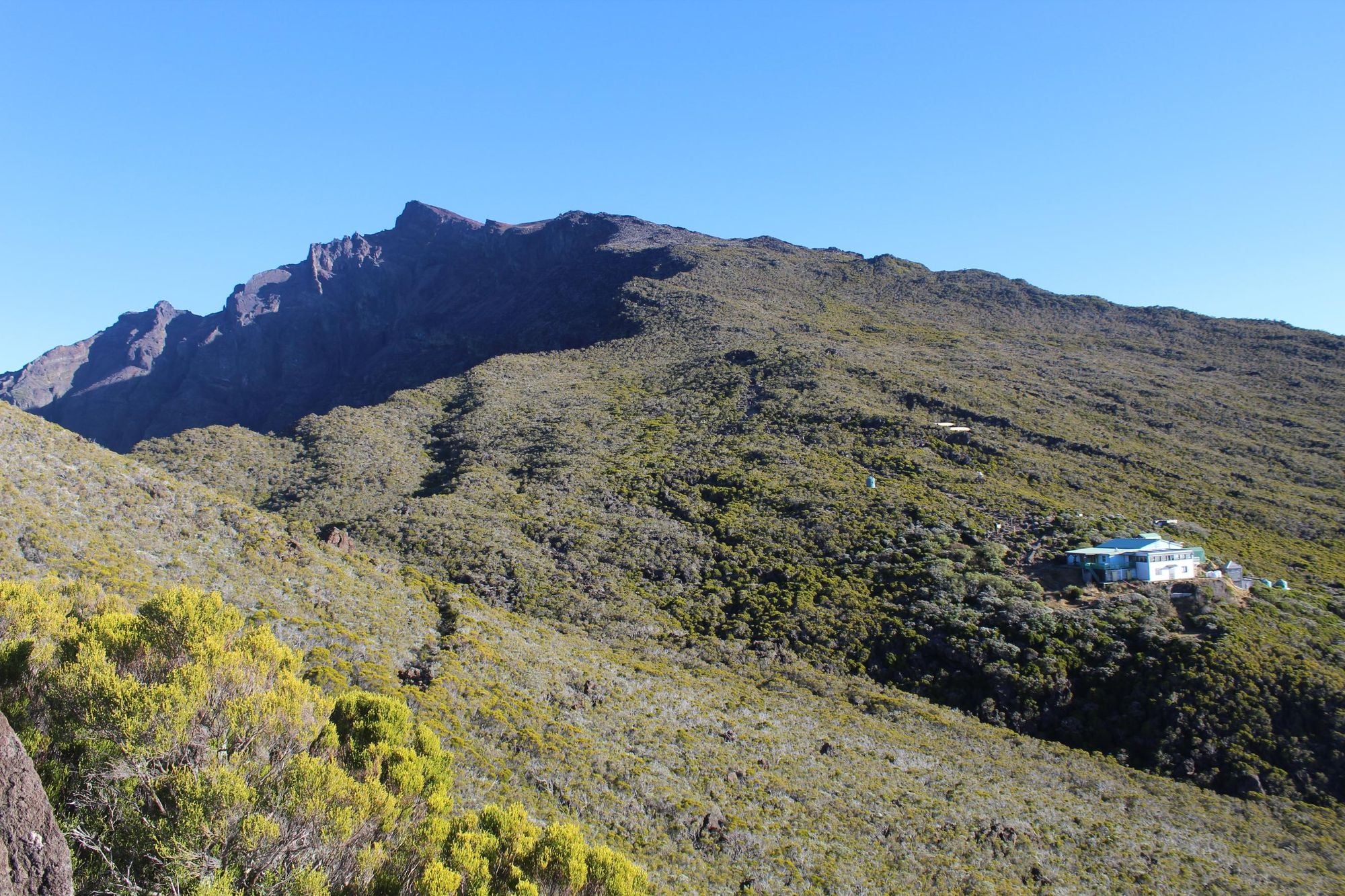 The refuge beneath Piton des Neiges, surrounded by shrubbery. Photo: Stuart Kenny