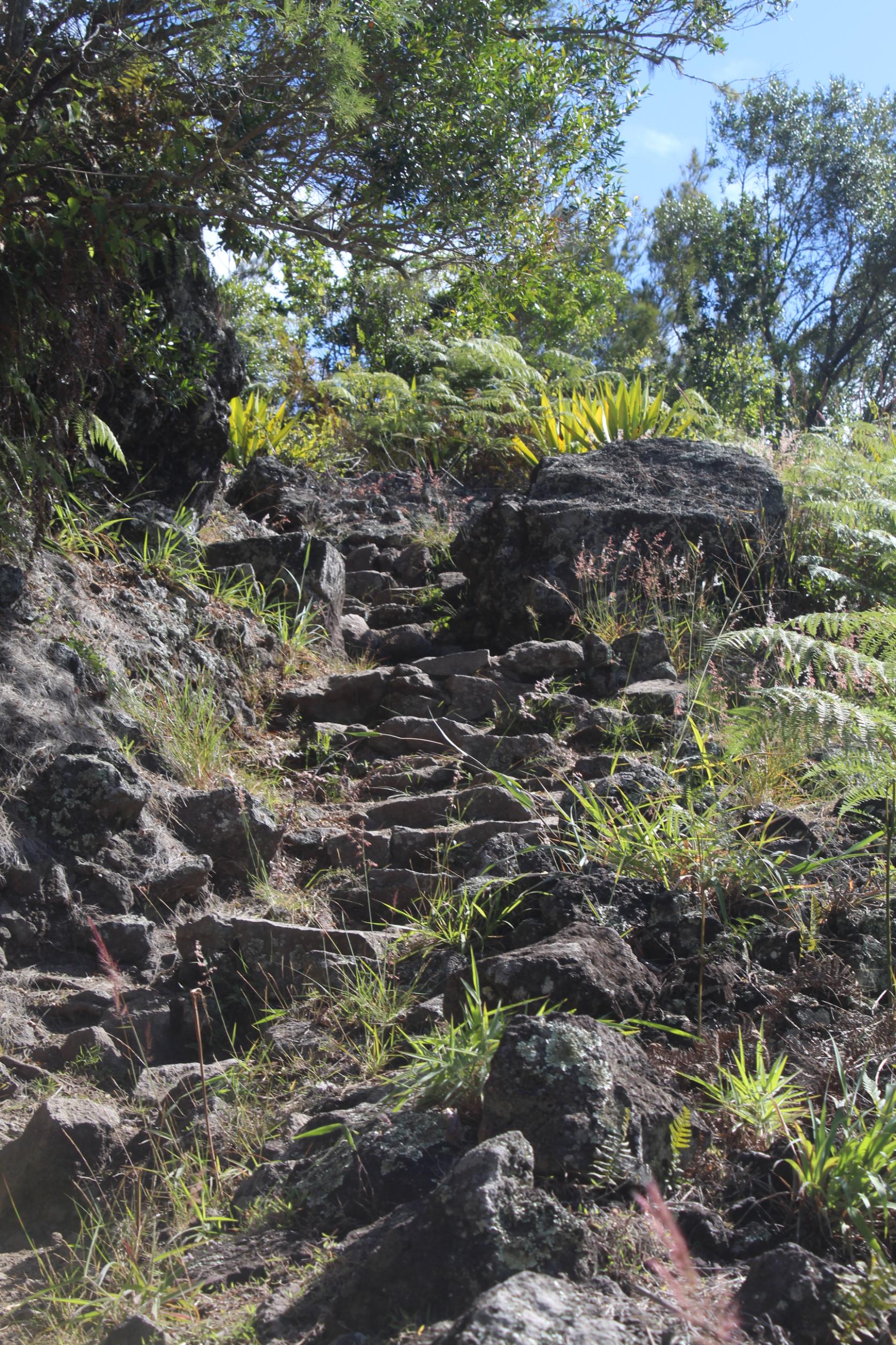 One of the steep staircases of Mafate, winding around a cliff face. Photo: Stuart Kenny