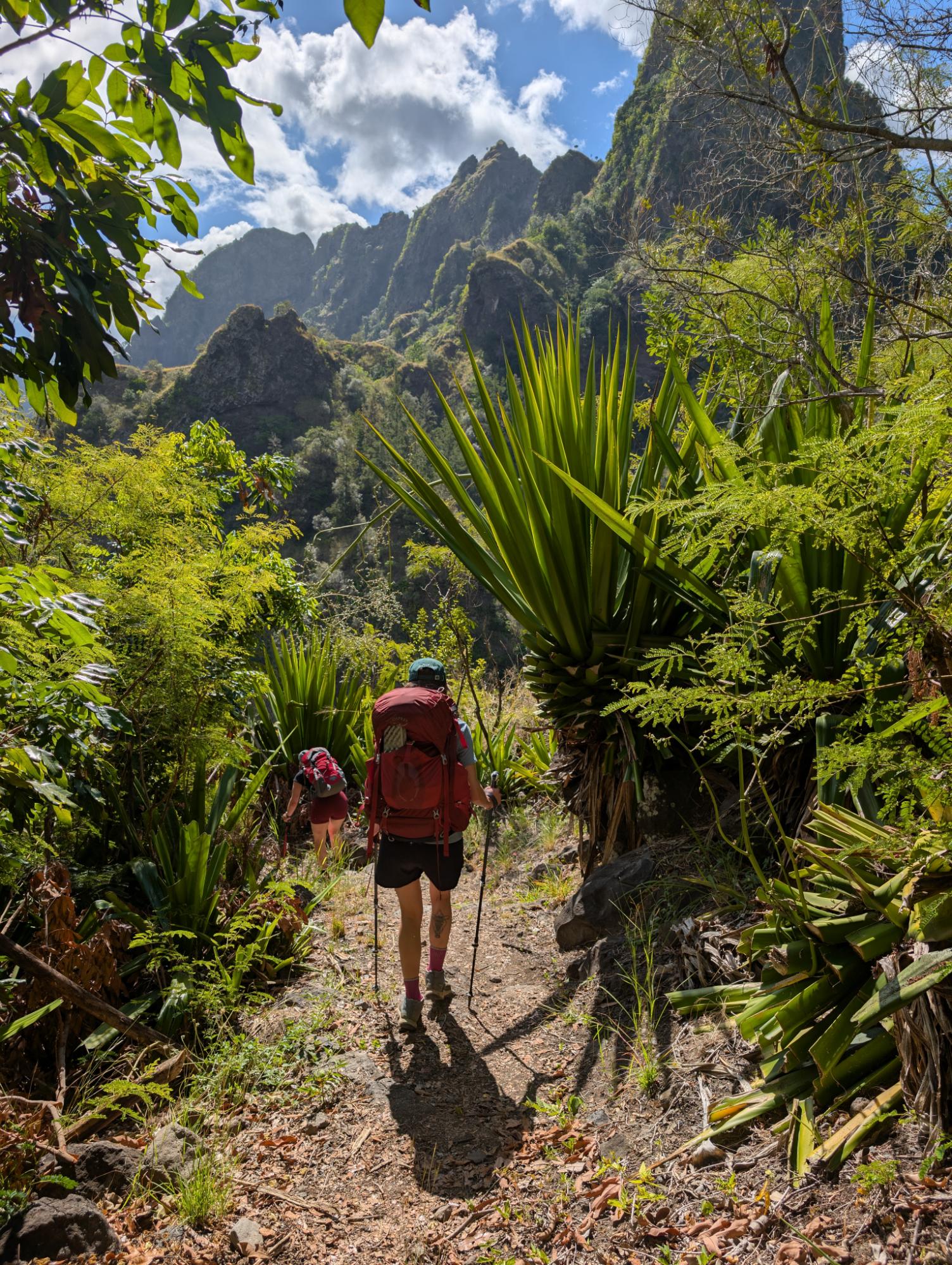 Hiking through the wild green of Mafate, on Reunion Island. Photo: Stuart Kenny