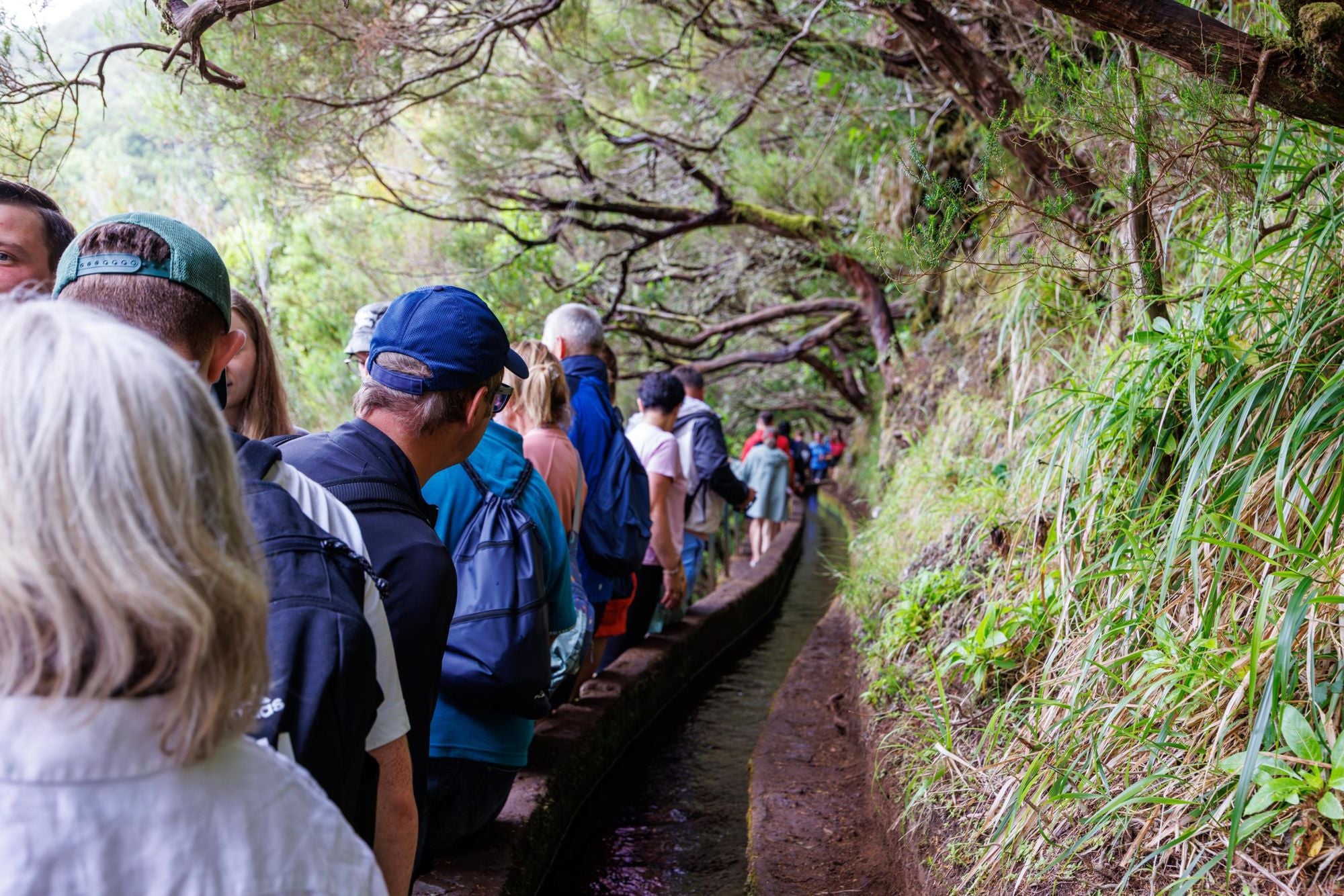 Crowds of hikers on the well-known 25 Fountains trail. Photo: Getty.