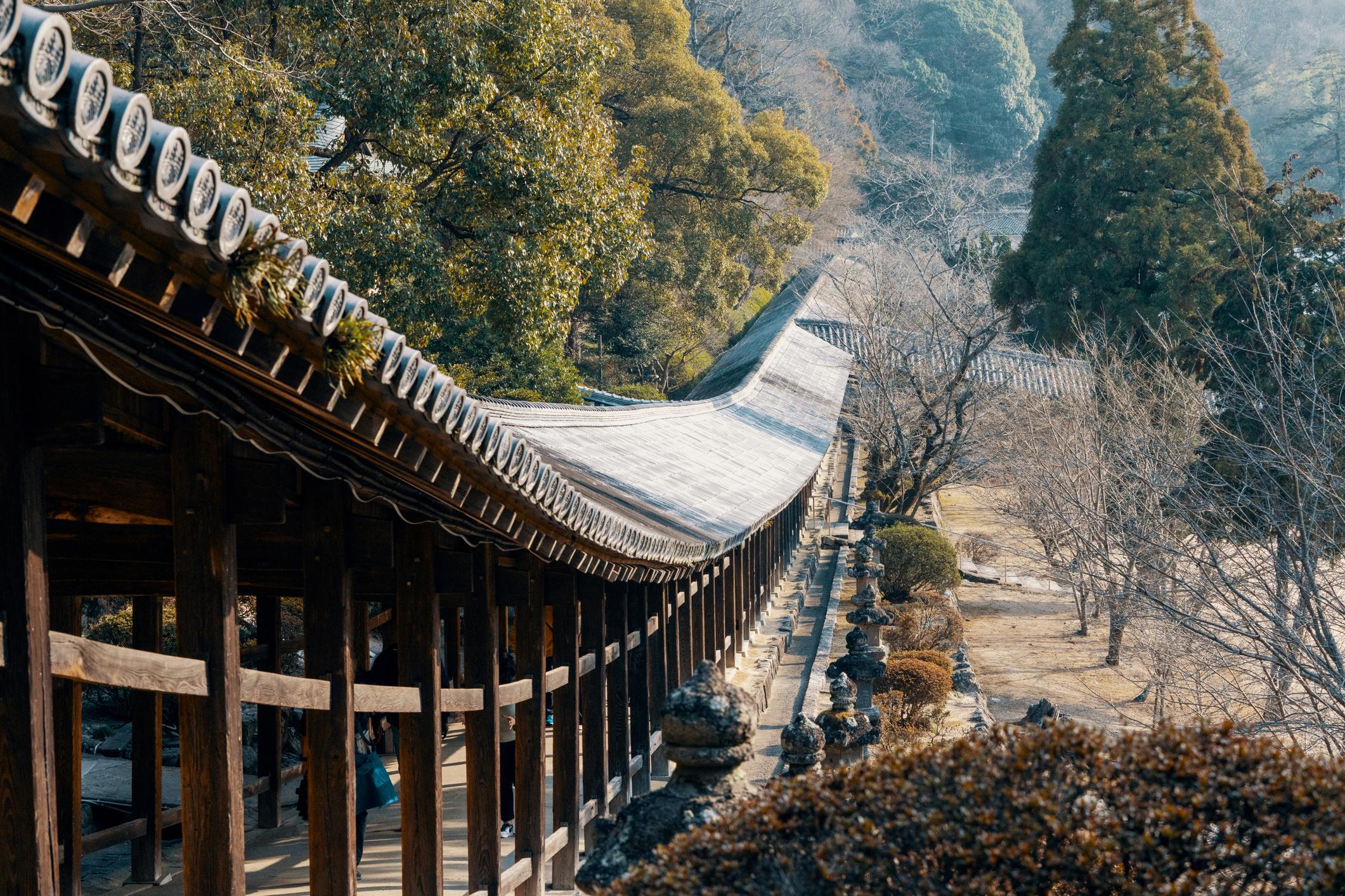 A Japanese shrine, surrounded by forest. Photo: Getty