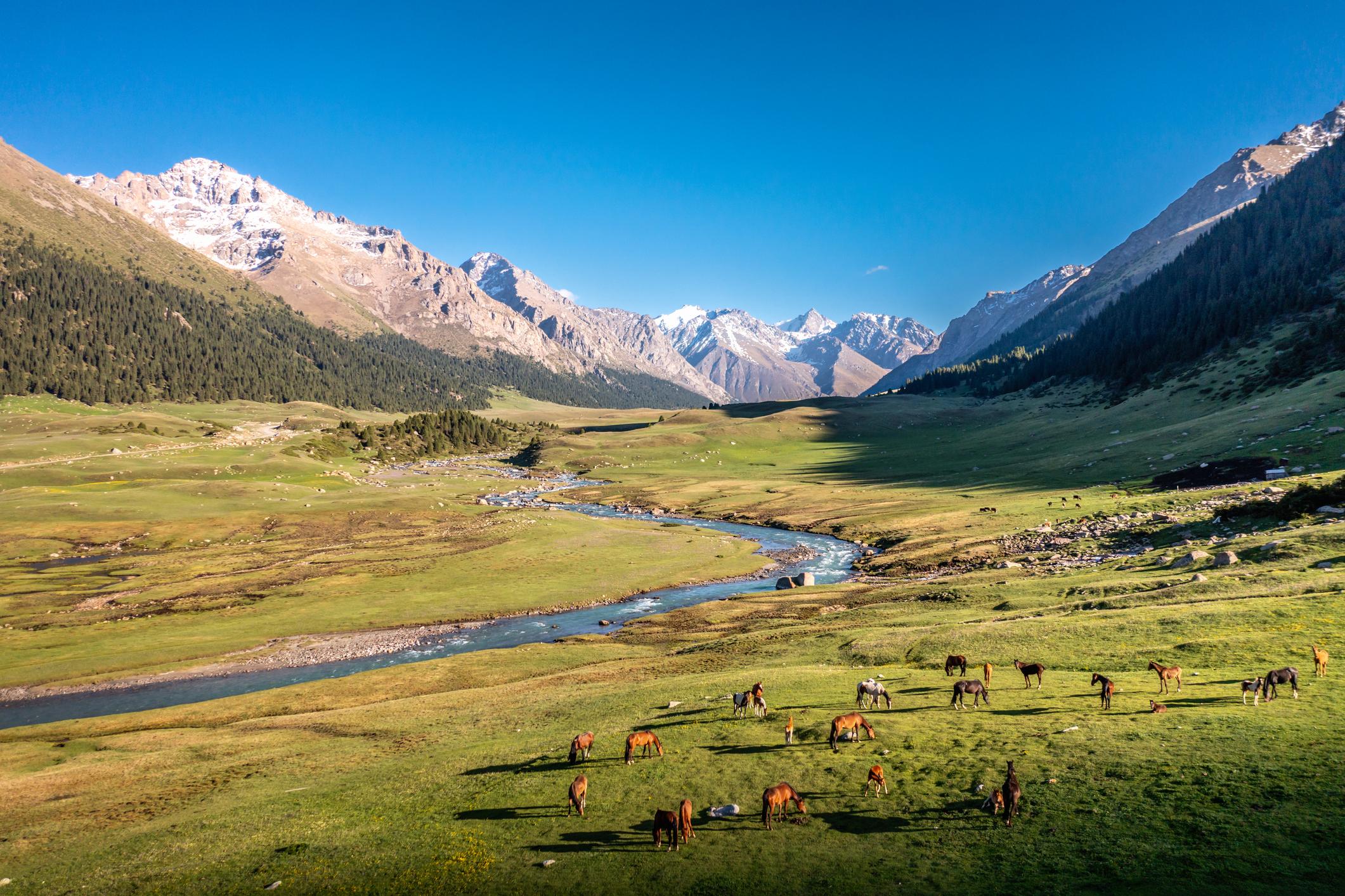 The green alpine meadows of Kyrgyzstan, with the Tian Shan mountains behind. Photo: Getty