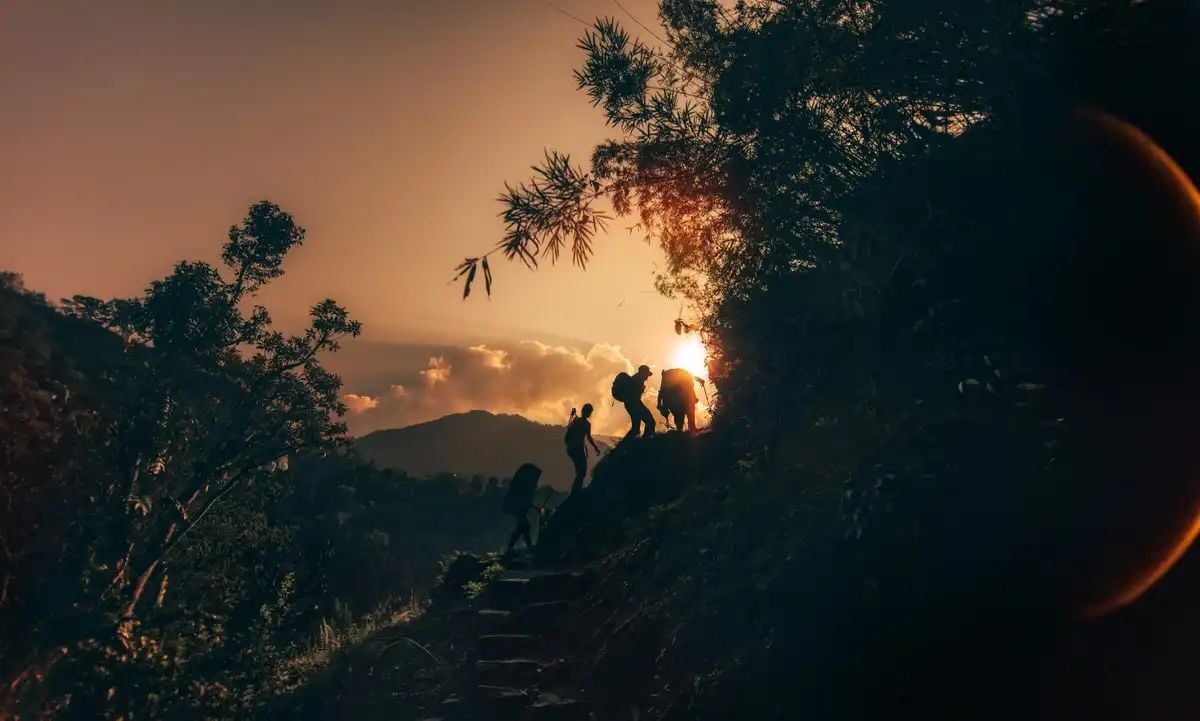 Stone steps along the Dhampus Trek. Photo: Getty.