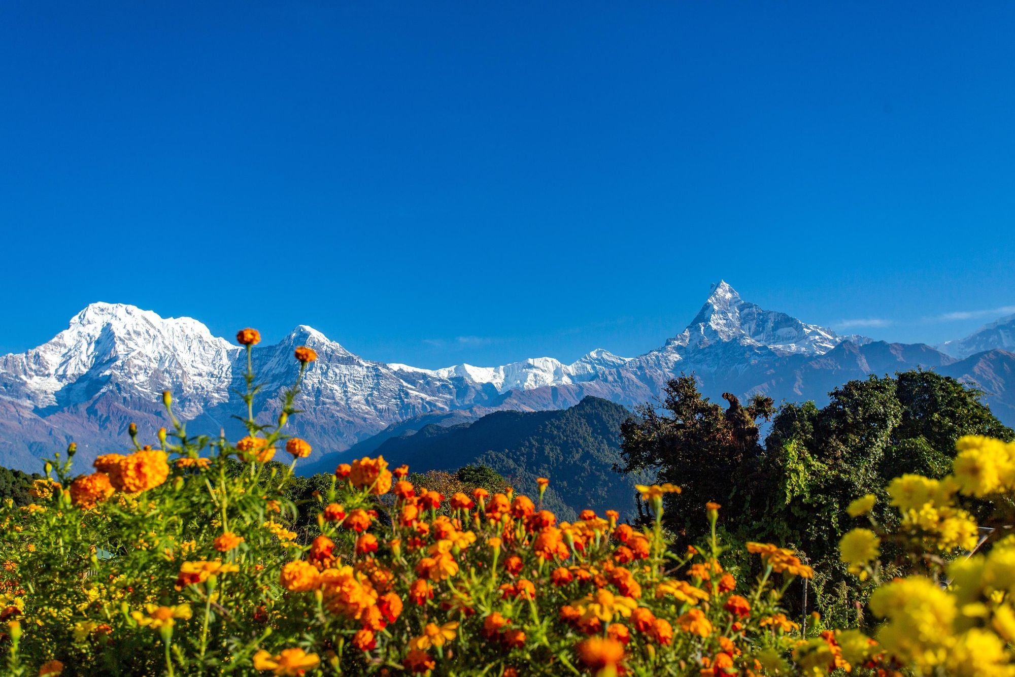 The view from the Australian Camp, in Nepal, on a sunny day. Photo: Shutterstock.