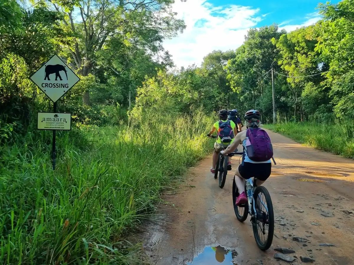 Cycling down the elephant corridor. Photo: Action Lanka.