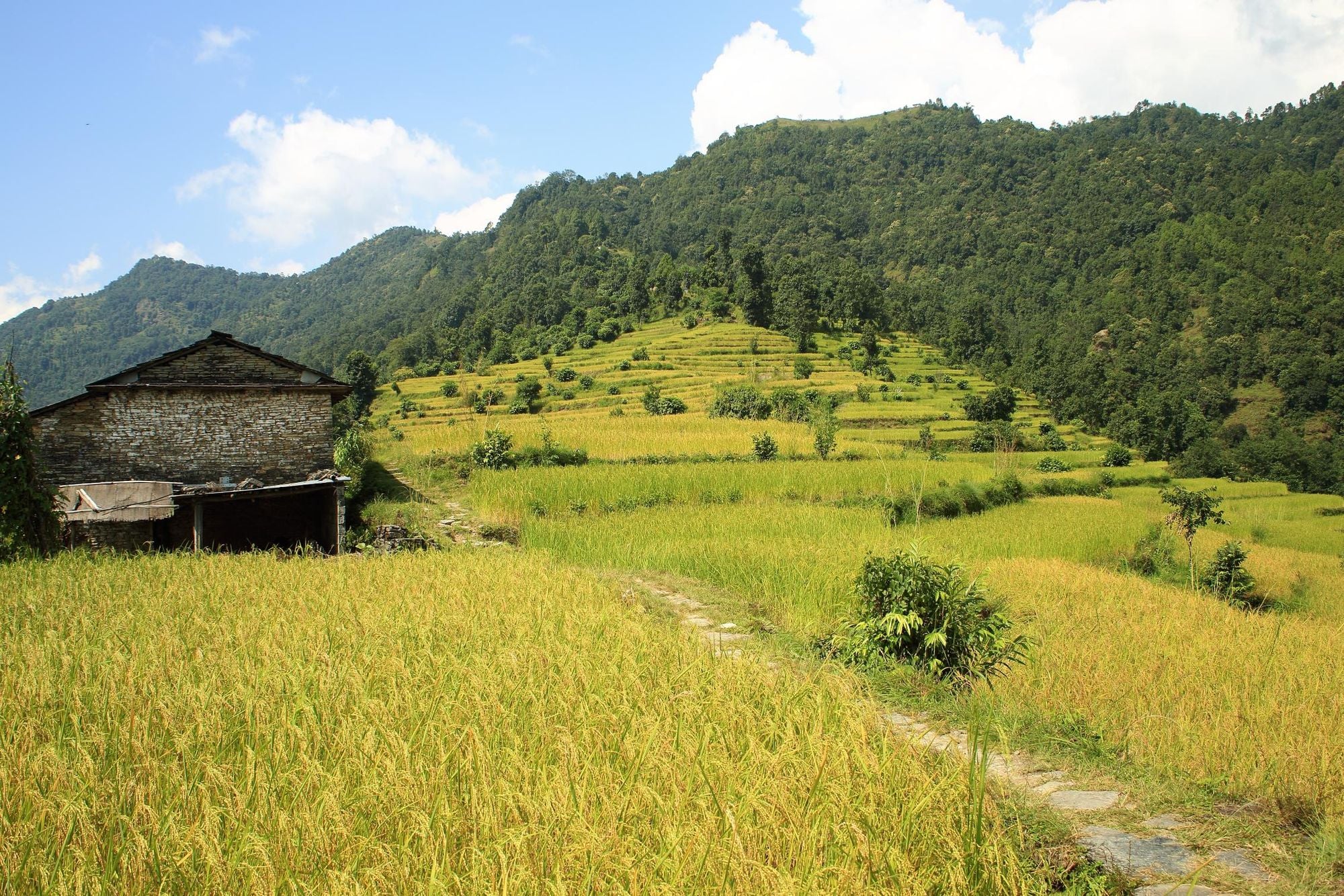 The hiking path to Dhampus village. Photo: Getty.