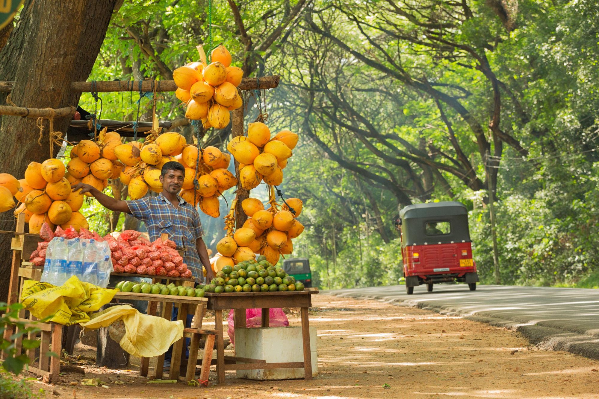 A roadside fruit stall, Sri Lanka. Photo: Getty.