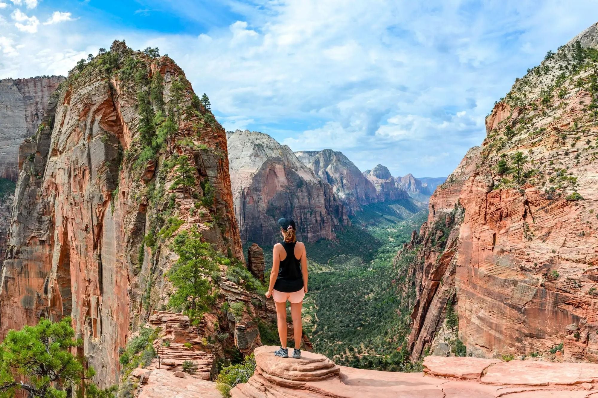 Scout Lookout. Photo: Shutterstock.