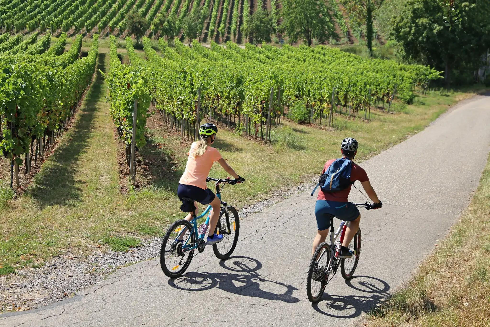 Cycling in Sonoma County. Photo: Shutterstock.
