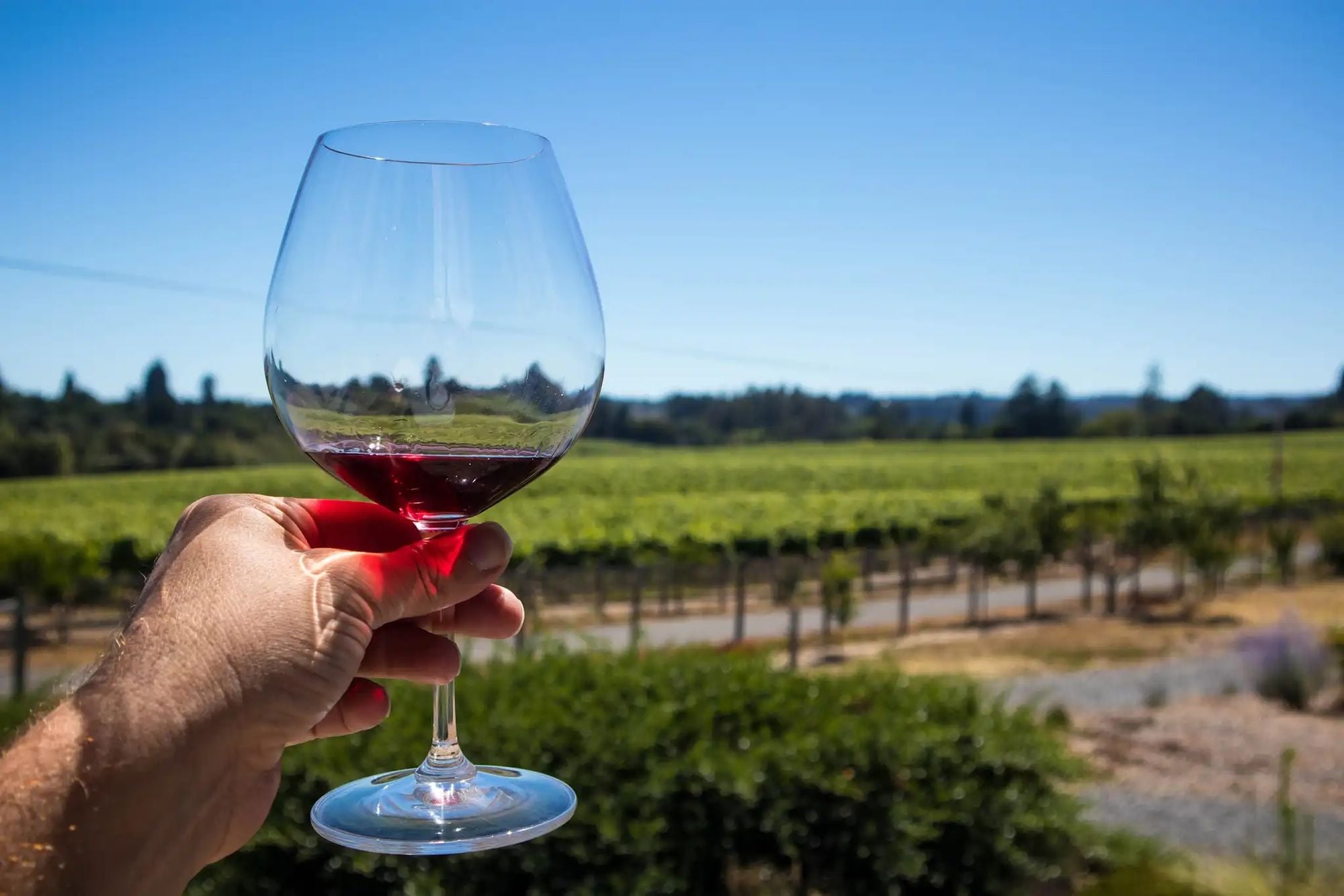 Wine tasting in Sonoma County. Photo: Shutterstock.
