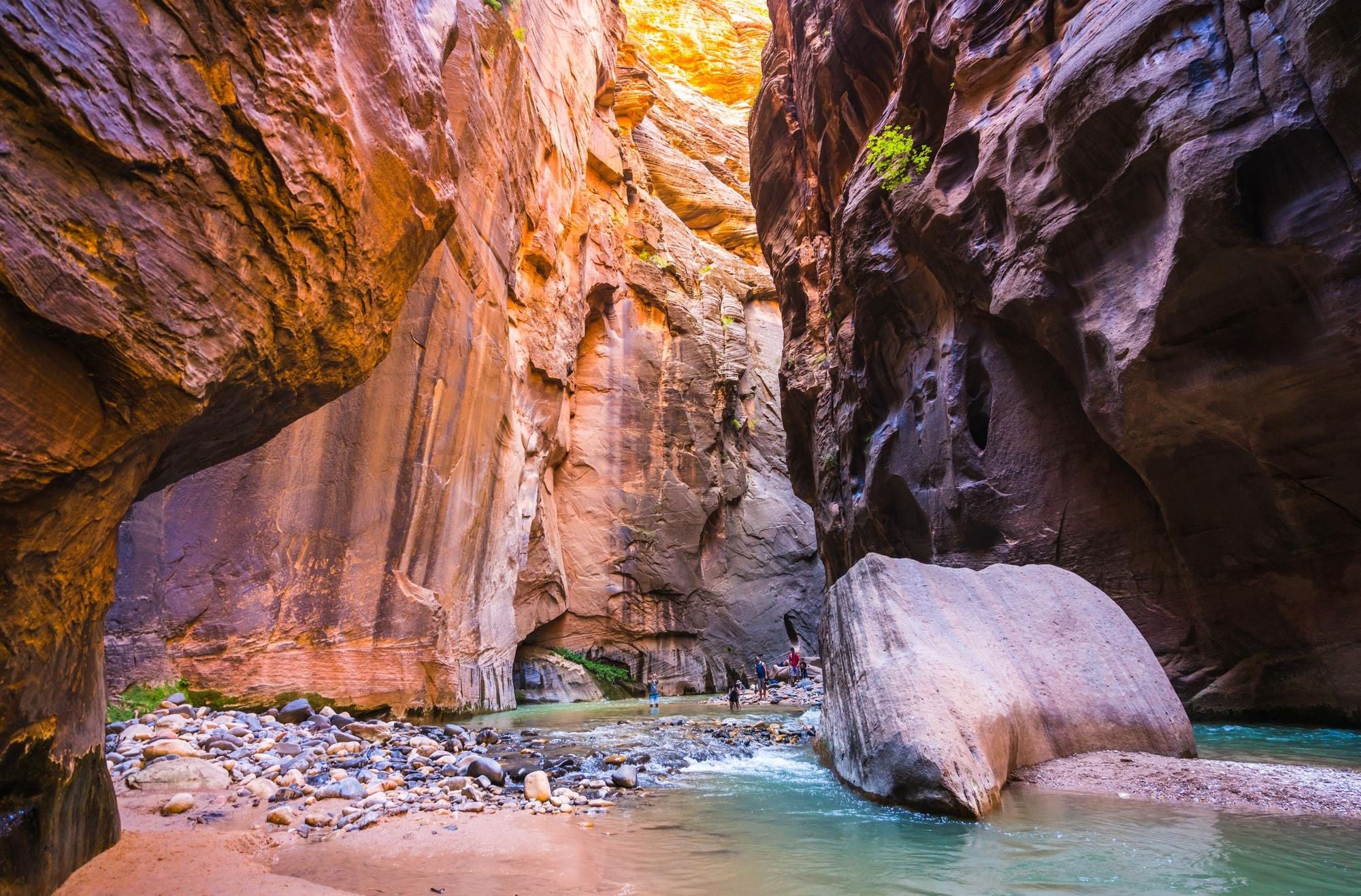 The Narrows, Zion National Park. Photo: Getty.