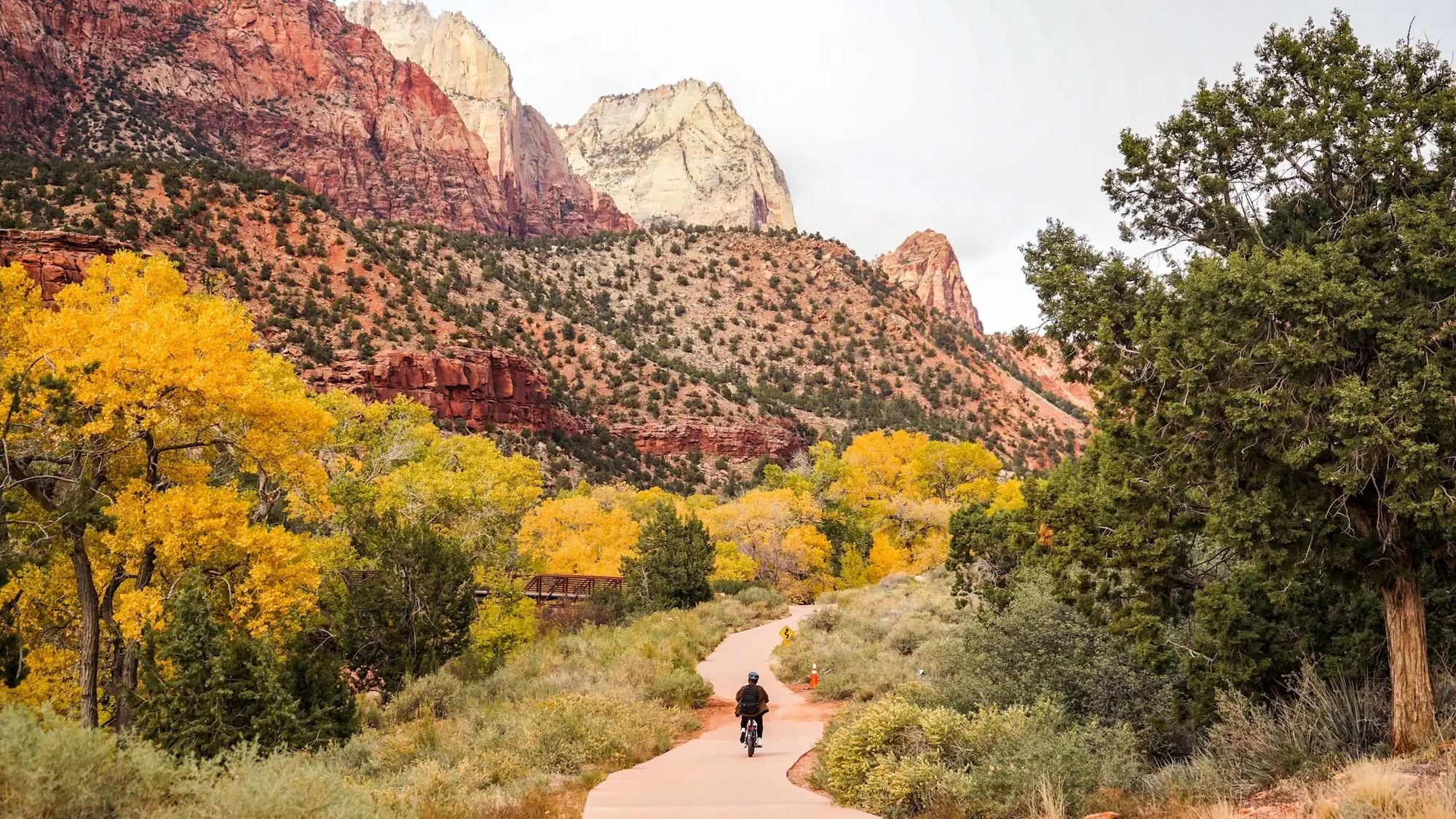 Cycling in Zion National Park. Photo: Shutterstock.