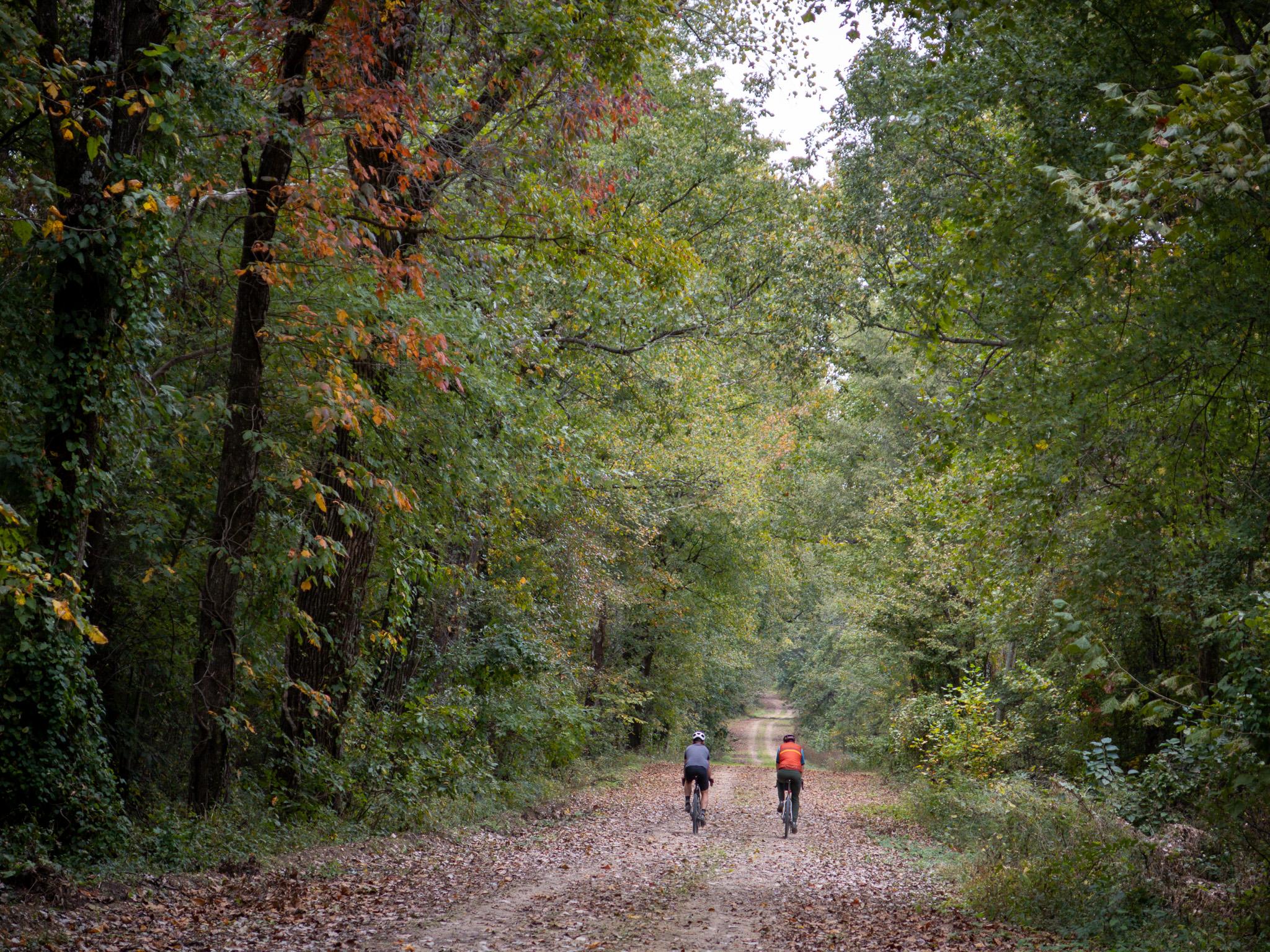 Crowley's Ridge mixes canopy tree cover and gravel paths with state parks, tarmac and horizon views. Photo: Markus Stitz