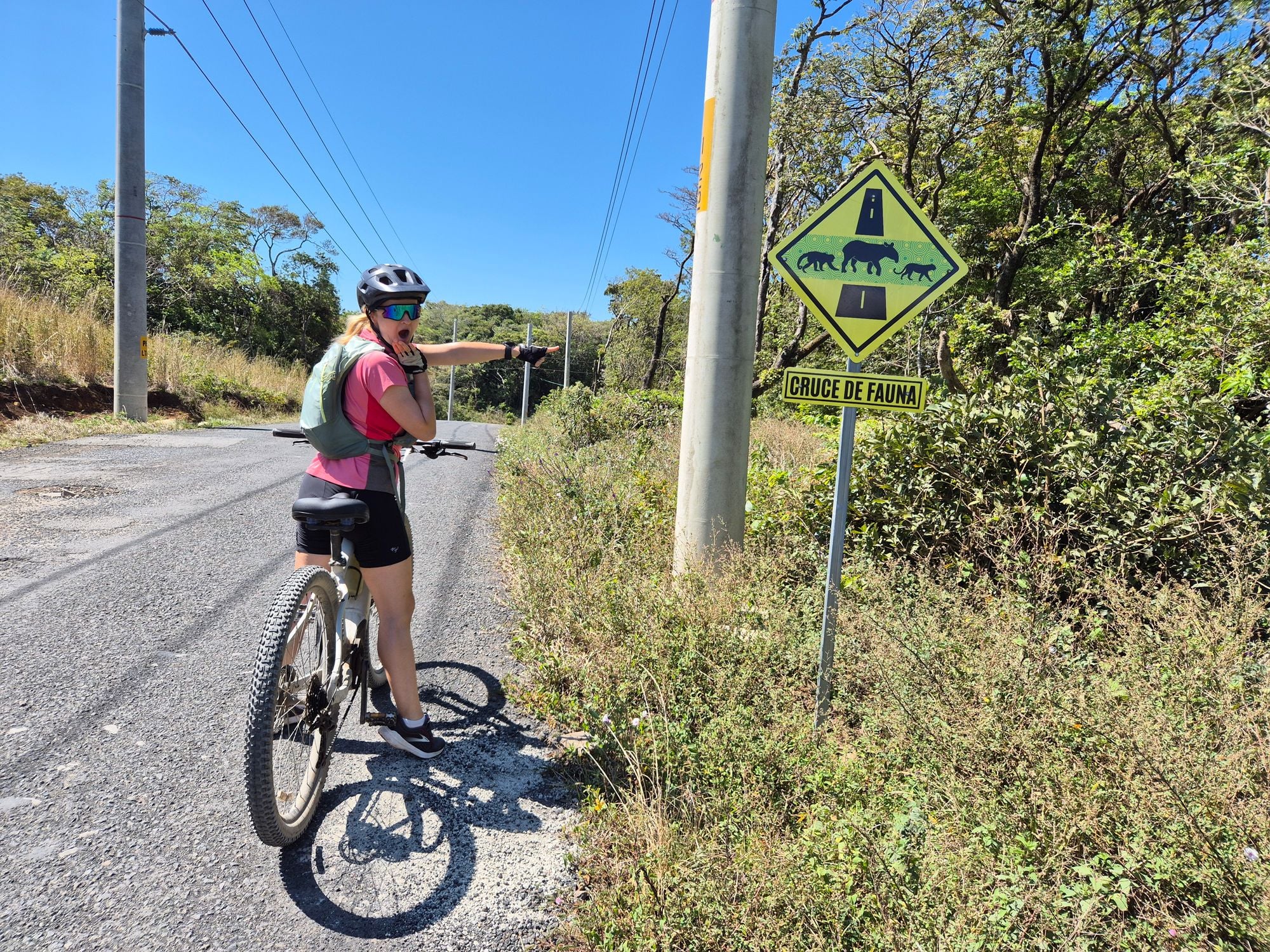 A wildlife crossing sign by the road in Costa Rica.