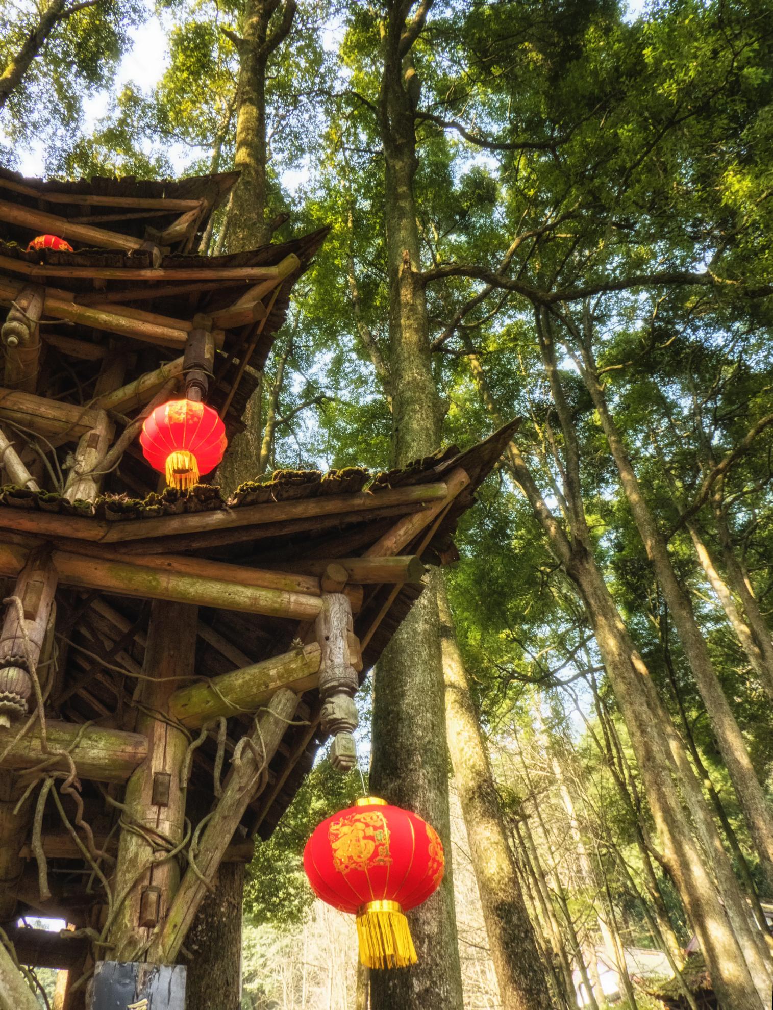 The forests of Mount Qingcheng are dotted with Taoist temples and pavillions. Photo: Getty