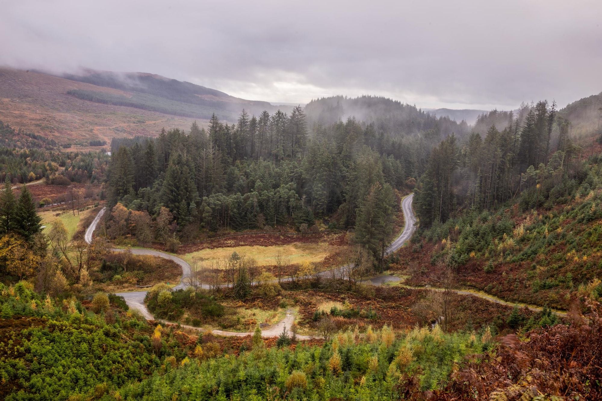 A foggy day in the Galloway Forest Park, which gives you an idea of the wild scenery. Photo: Getty