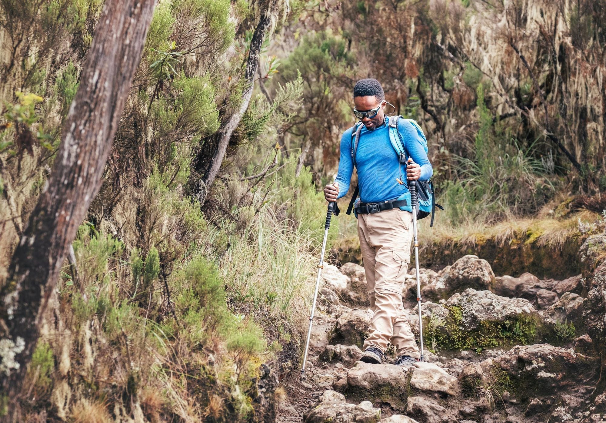 A fit hiker descending through the jungles on the low levels of the Kilimanjaro hike. Photo: Getty